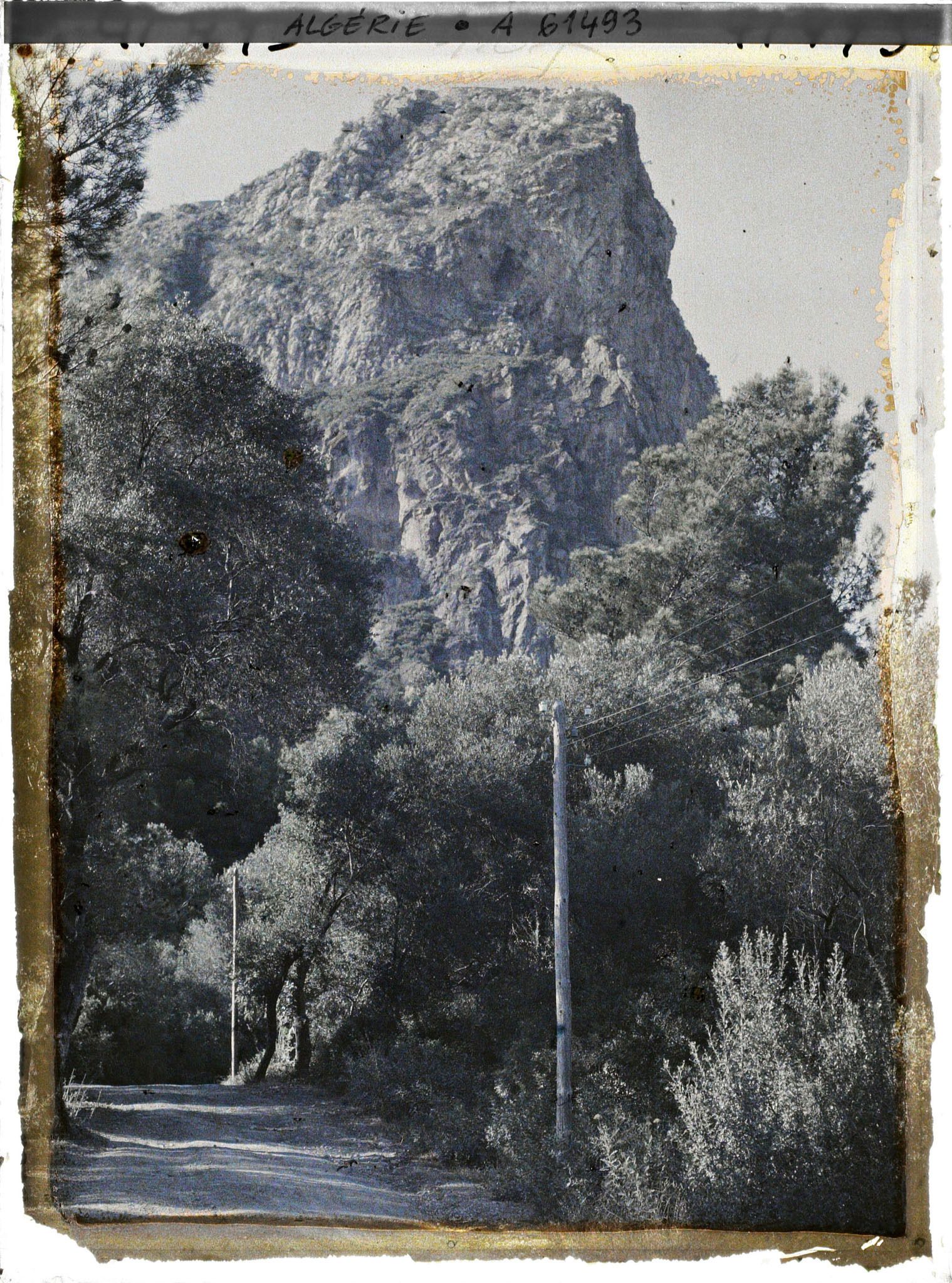 Image représentant Vue du djebel Gouraya