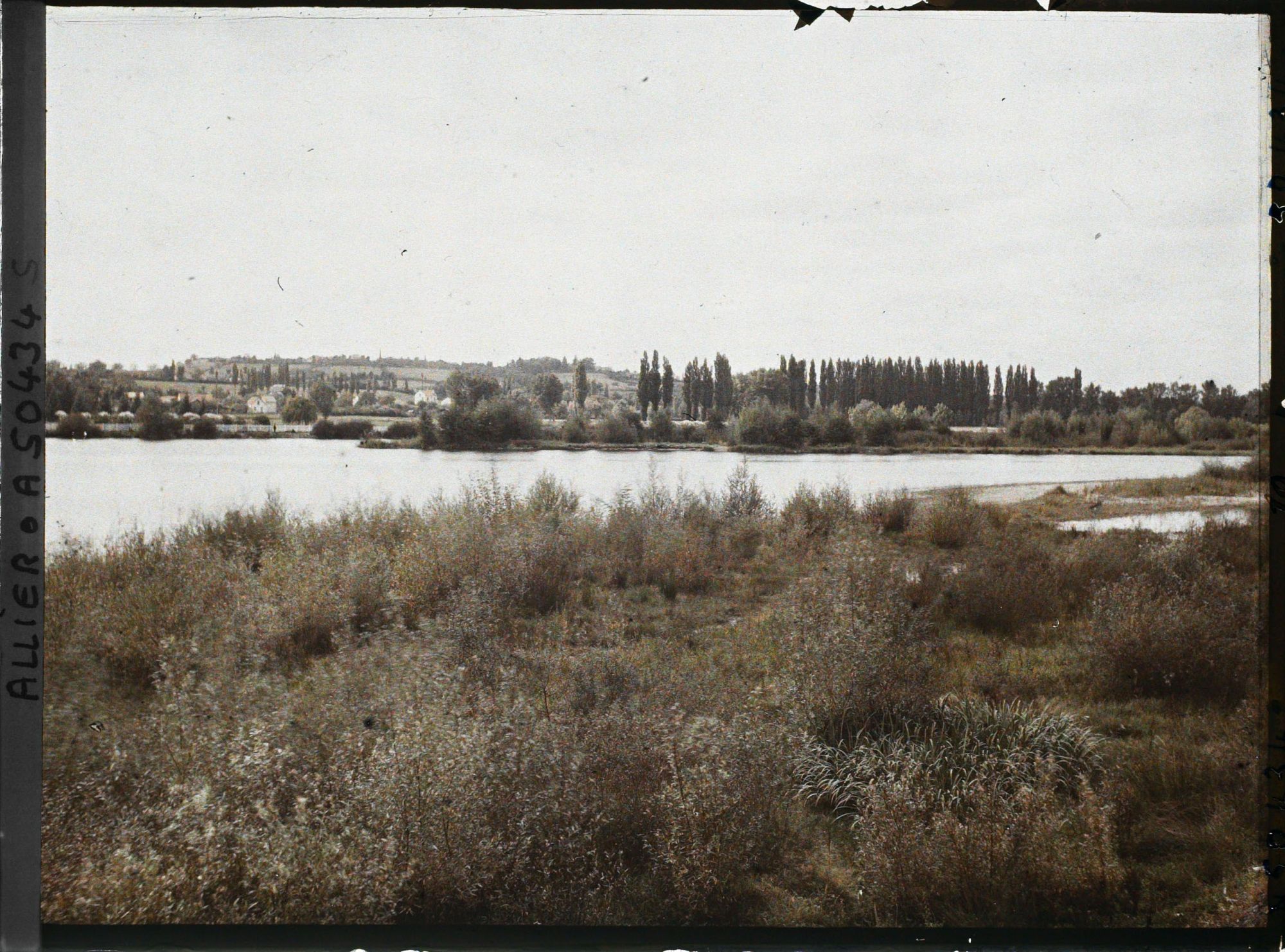 Image représentant Les bords de l'Allier vus vers l'aval