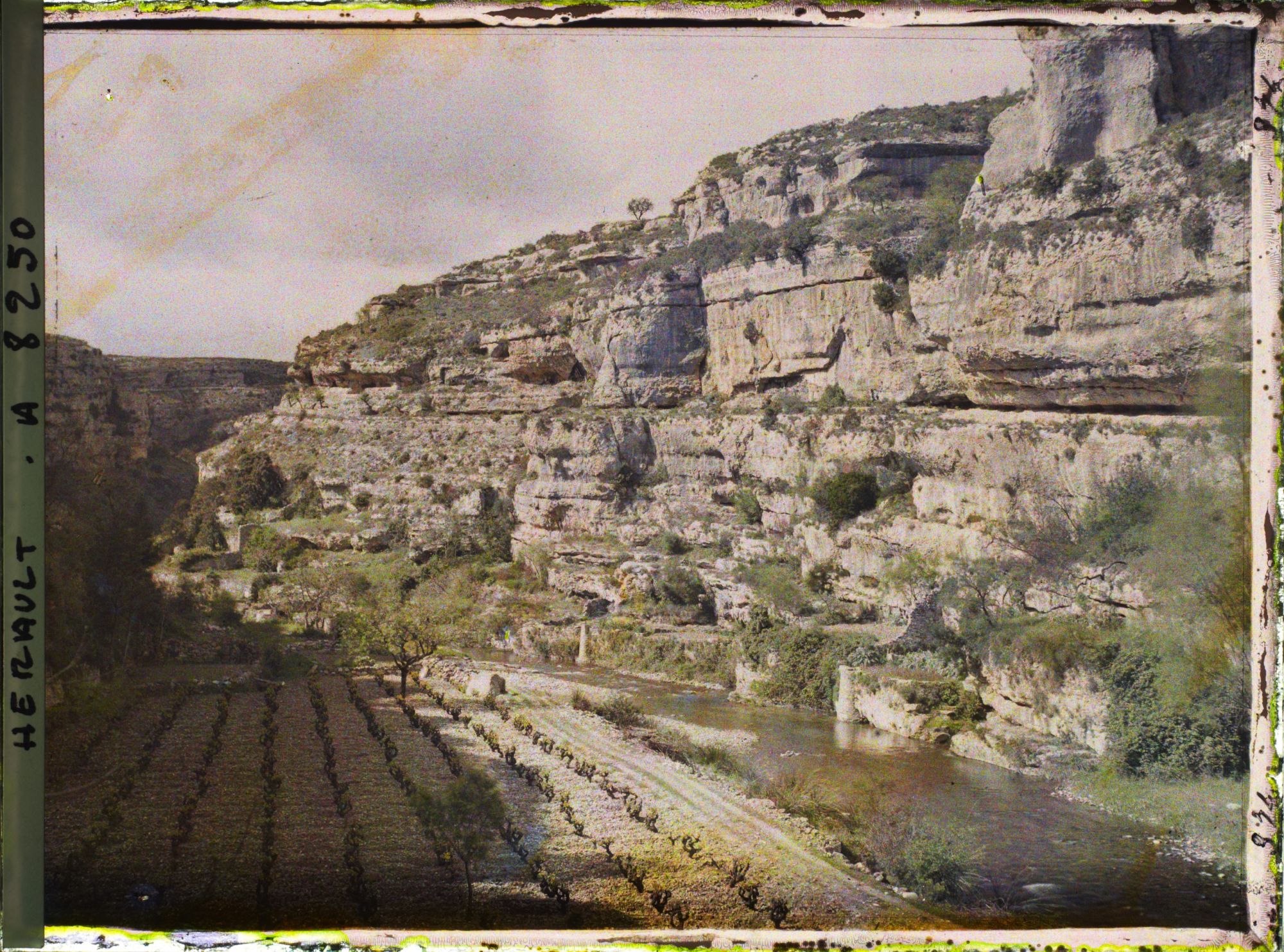 Image représentant La haute gorge du Brian