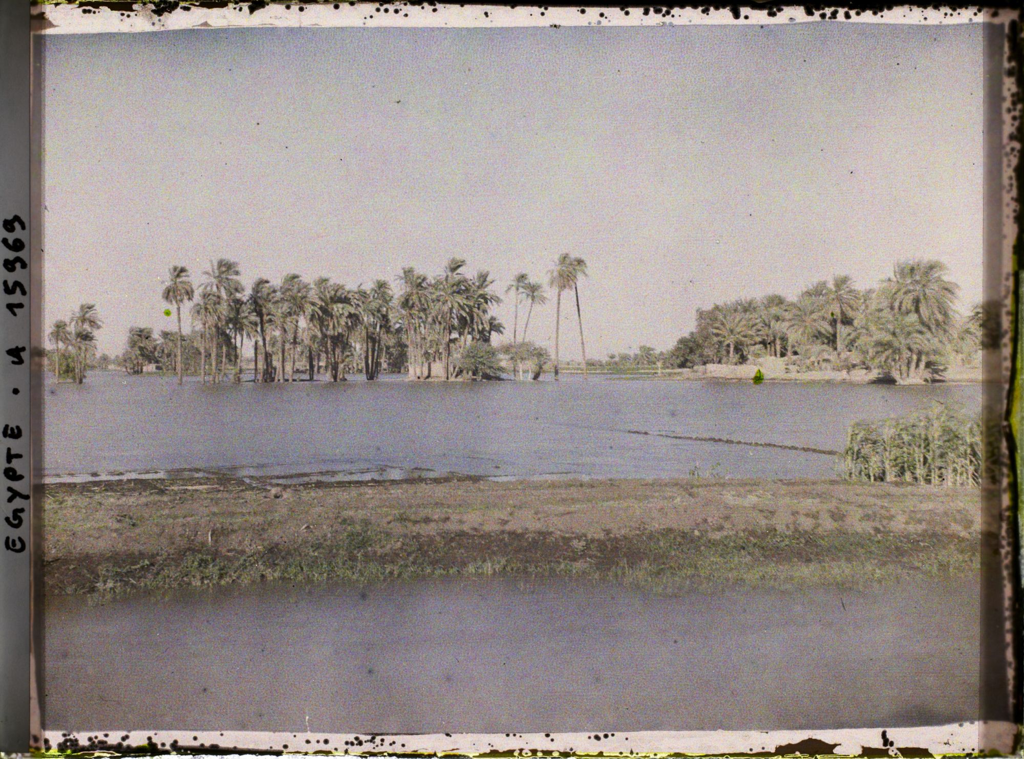 Image représentant Crue du Nil près de Louqsor