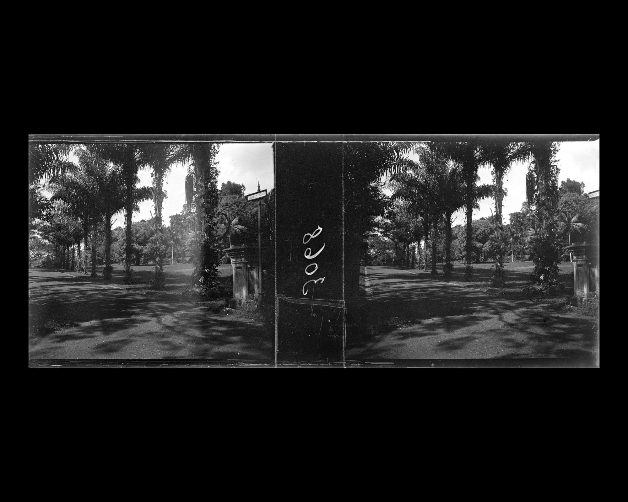 Image représentant Garden Road dans le jardin botanique