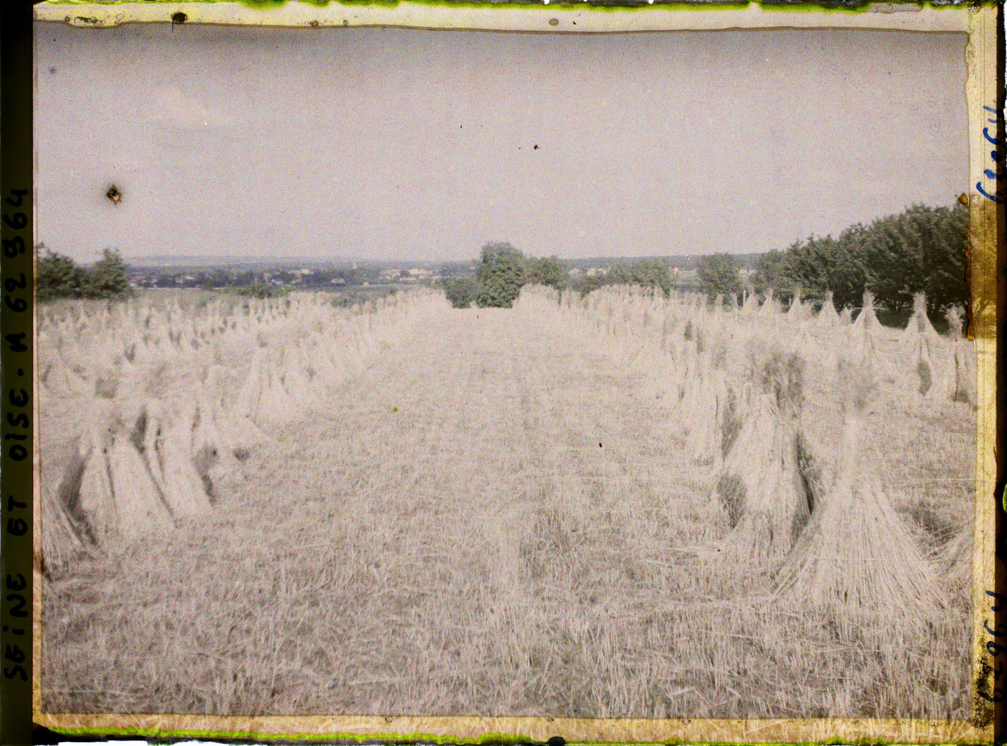 Image représentant Ile de France, Poissy, Seigle moissonné