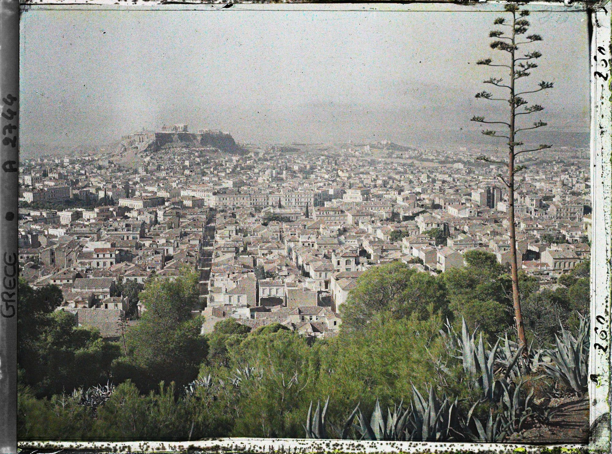Image représentant Panorama (sur la ville ) vers l'Acropole depuis le Mont Lycabette (277 m) (à la droite, un aloès)