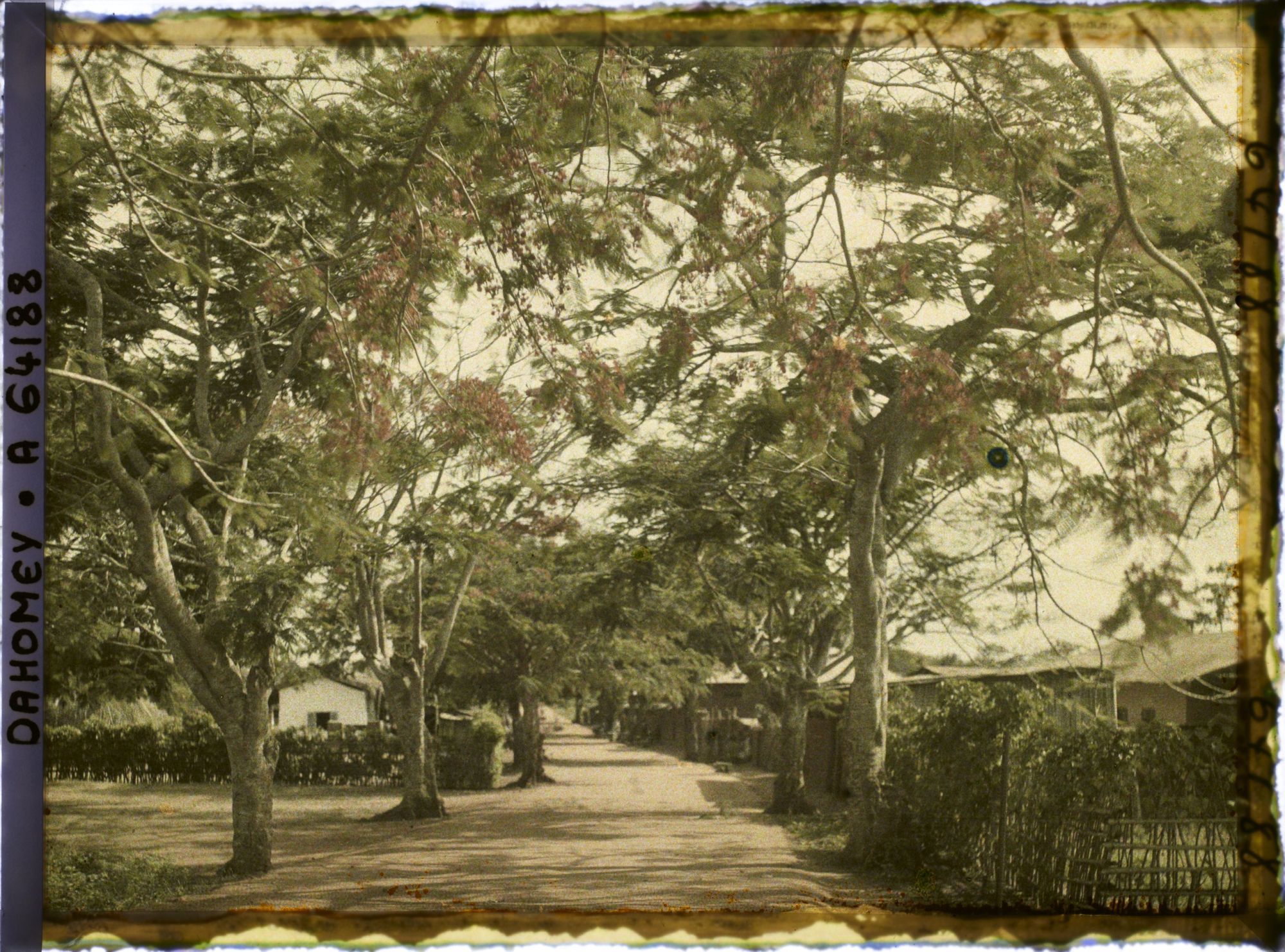 Image représentant La route d'Adjohoun