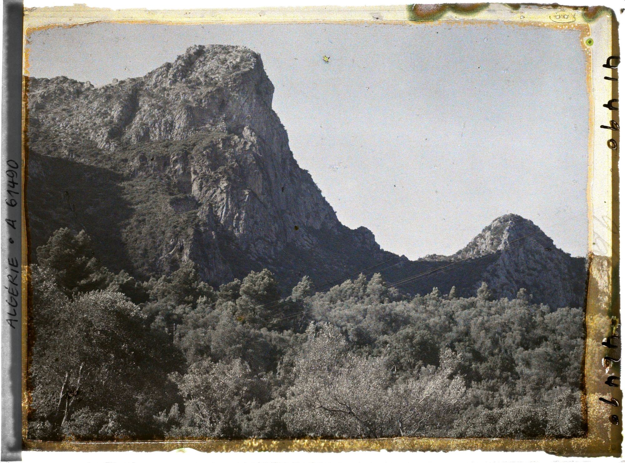 Image représentant Le djebel Gouraya