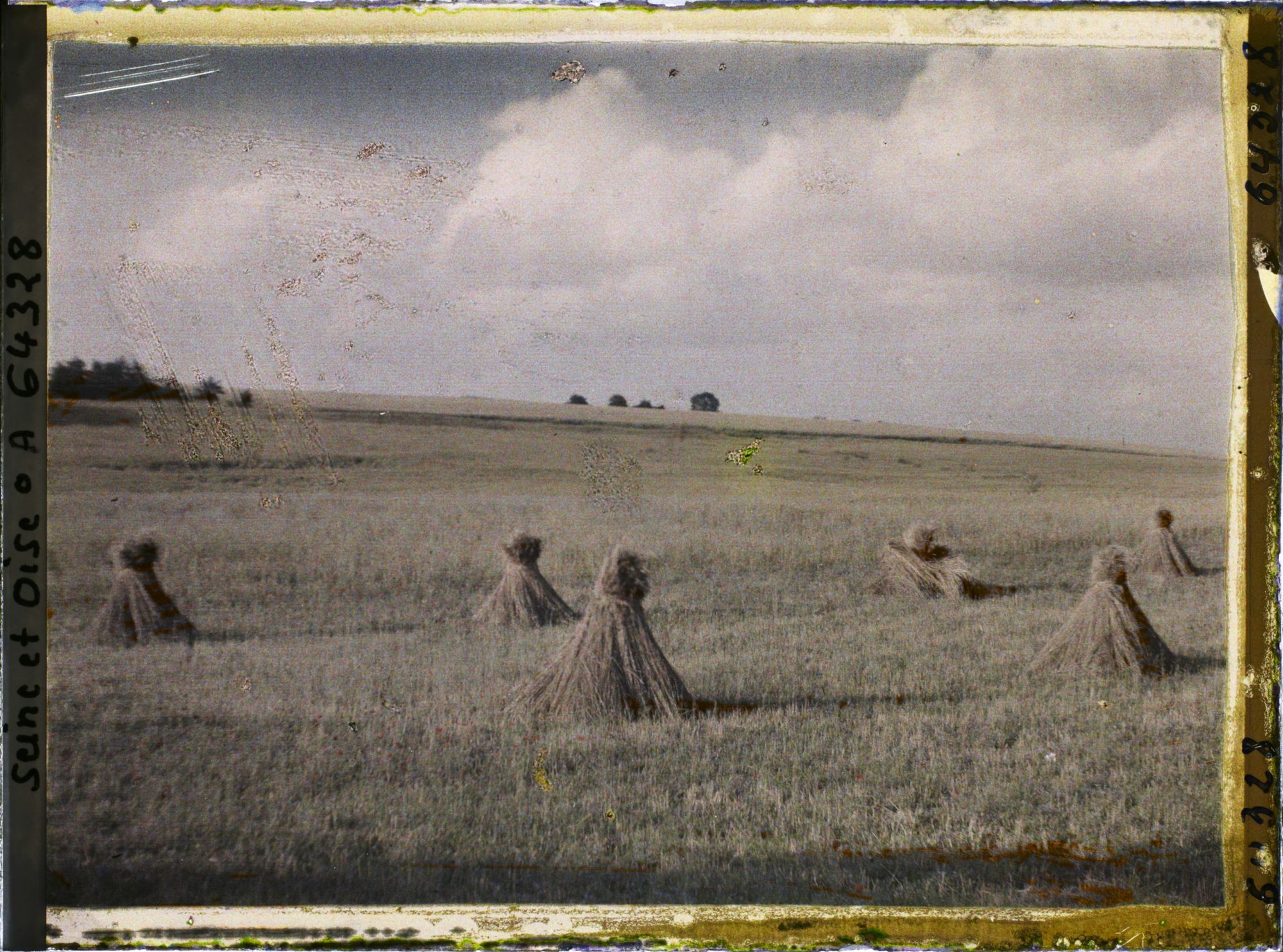 Image représentant Ile de France, Vallangoujard, Seigle en bottes