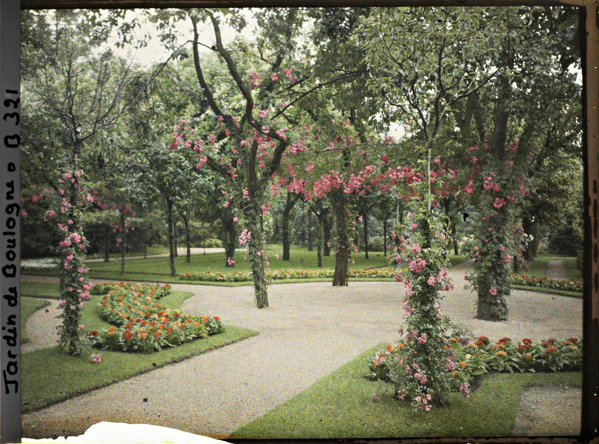 Image représentant Rond-point fleuri du verger-roseraie, vu près de la dépendance, en direction de la forêt bleue