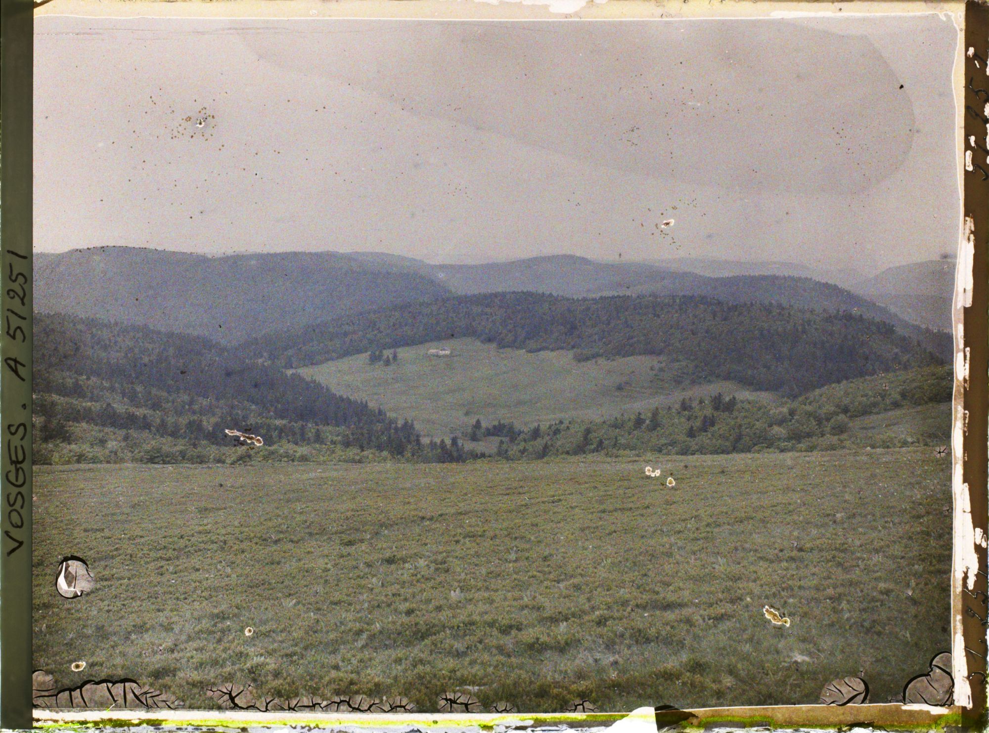 Image représentant Alsace, Houhneck, Les pâturages vus des pentes Sud-Ouest du Honhneck