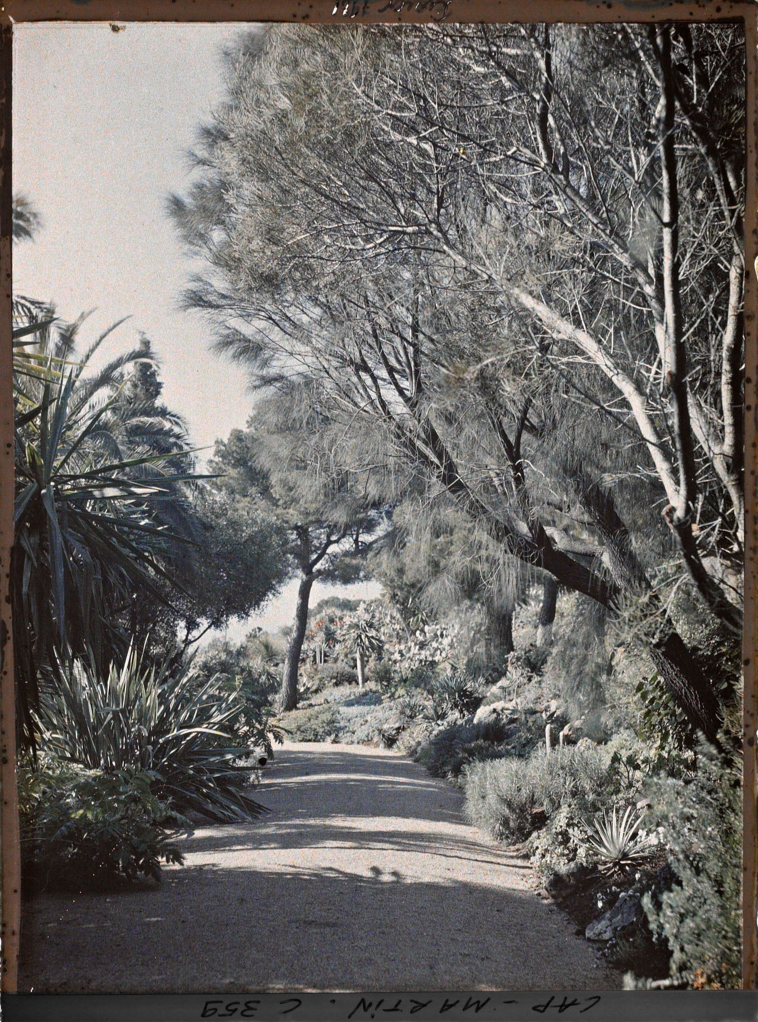 Image représentant Une allée du jardin