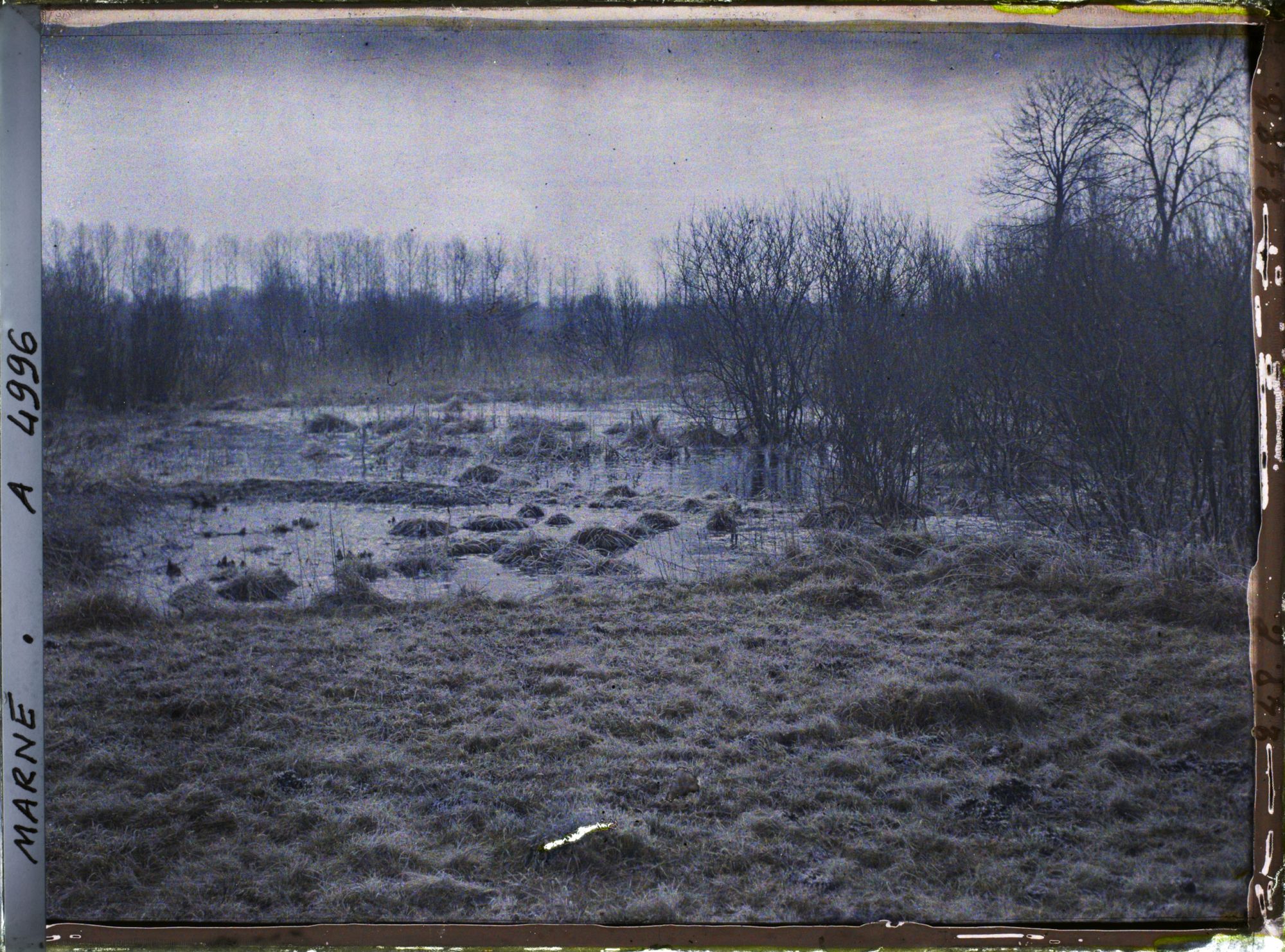 Image représentant Marécage en amont du confluent de Pleurs