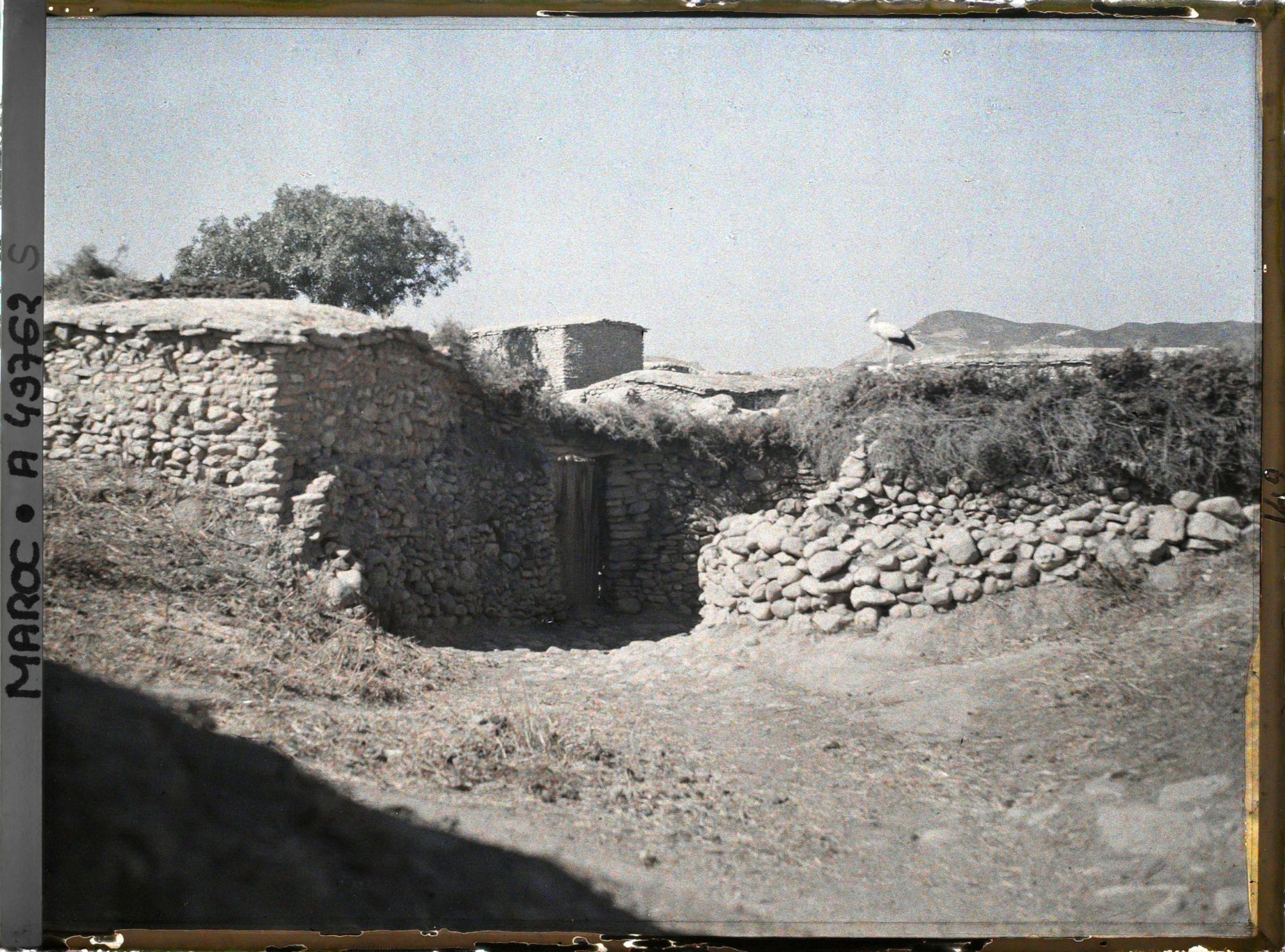 Image représentant Une cigogne près d'une maison
