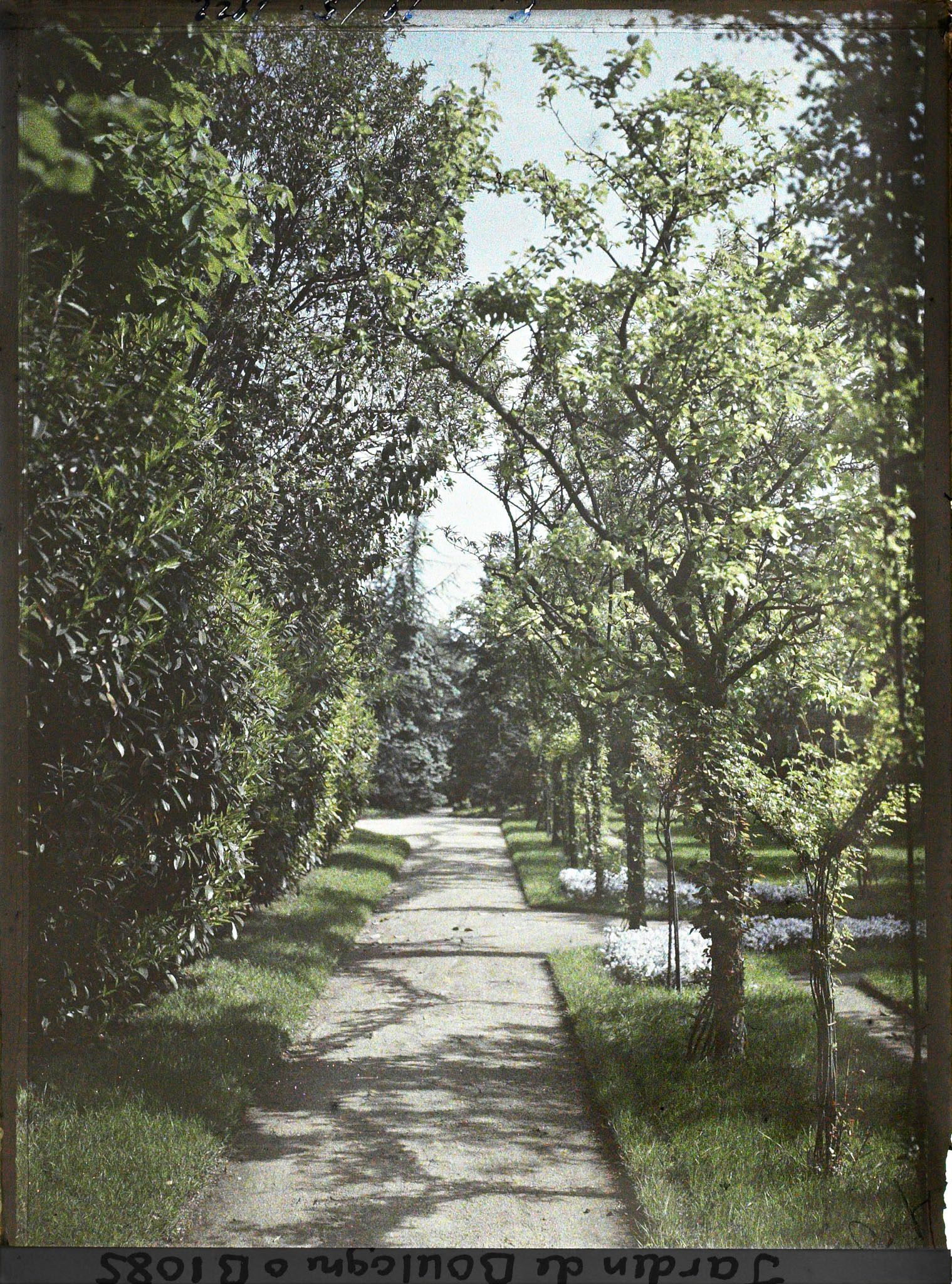 Image représentant Allée du verger-roseraie longeant la dépendance en direction de la forêt bleue