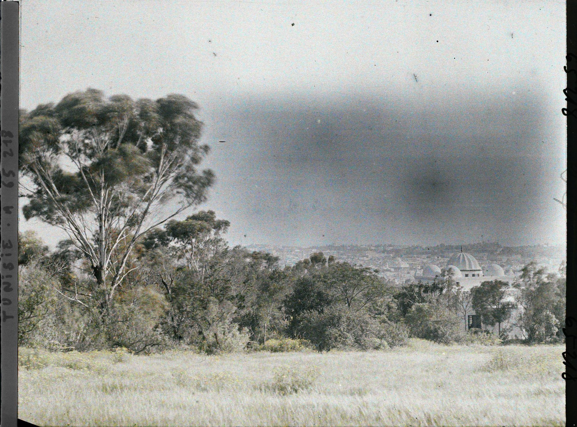 Image représentant Vue de Tunis prise depuis le parc du Belvédère