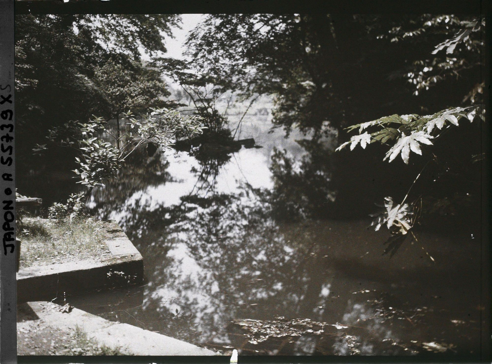 Image représentant Koishikawa Kôrakuen (jardin de l'Arsenal)