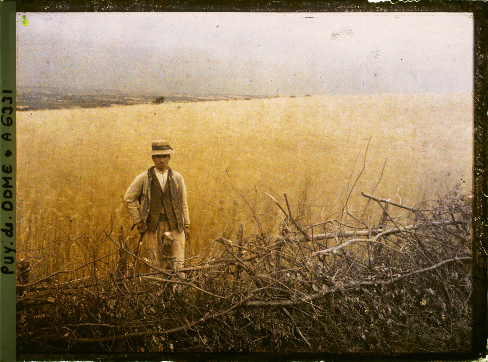 Image représentant France, Près le viaduc des Fades