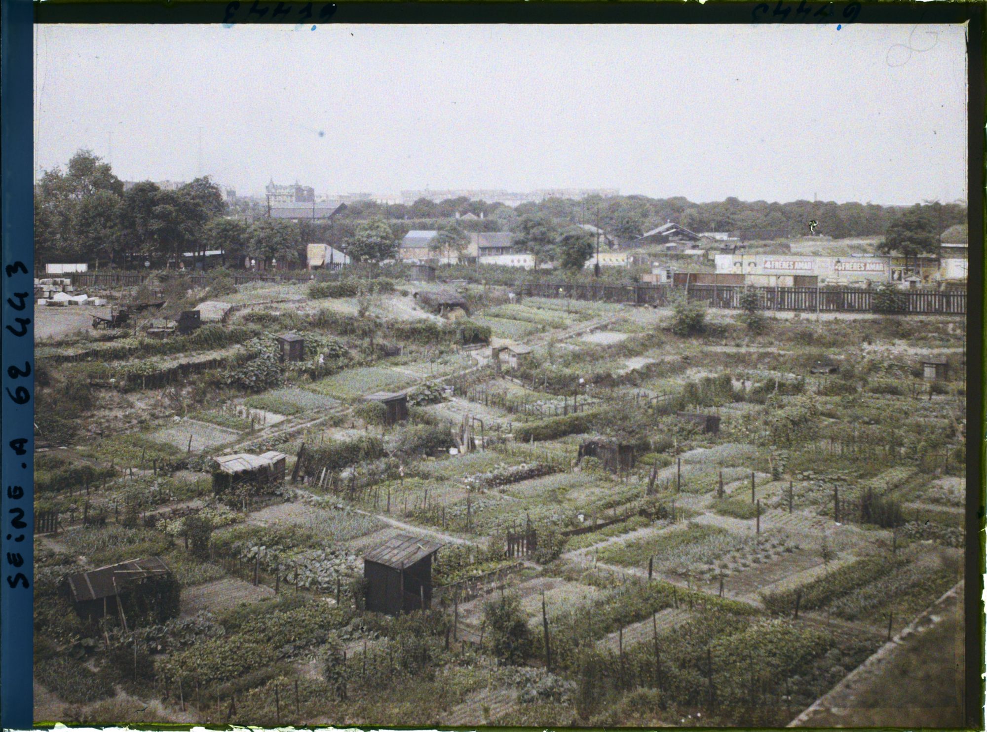 Image représentant Les jardins ouvriers dans les fossés des anciennes fortifications, porte de Clichy