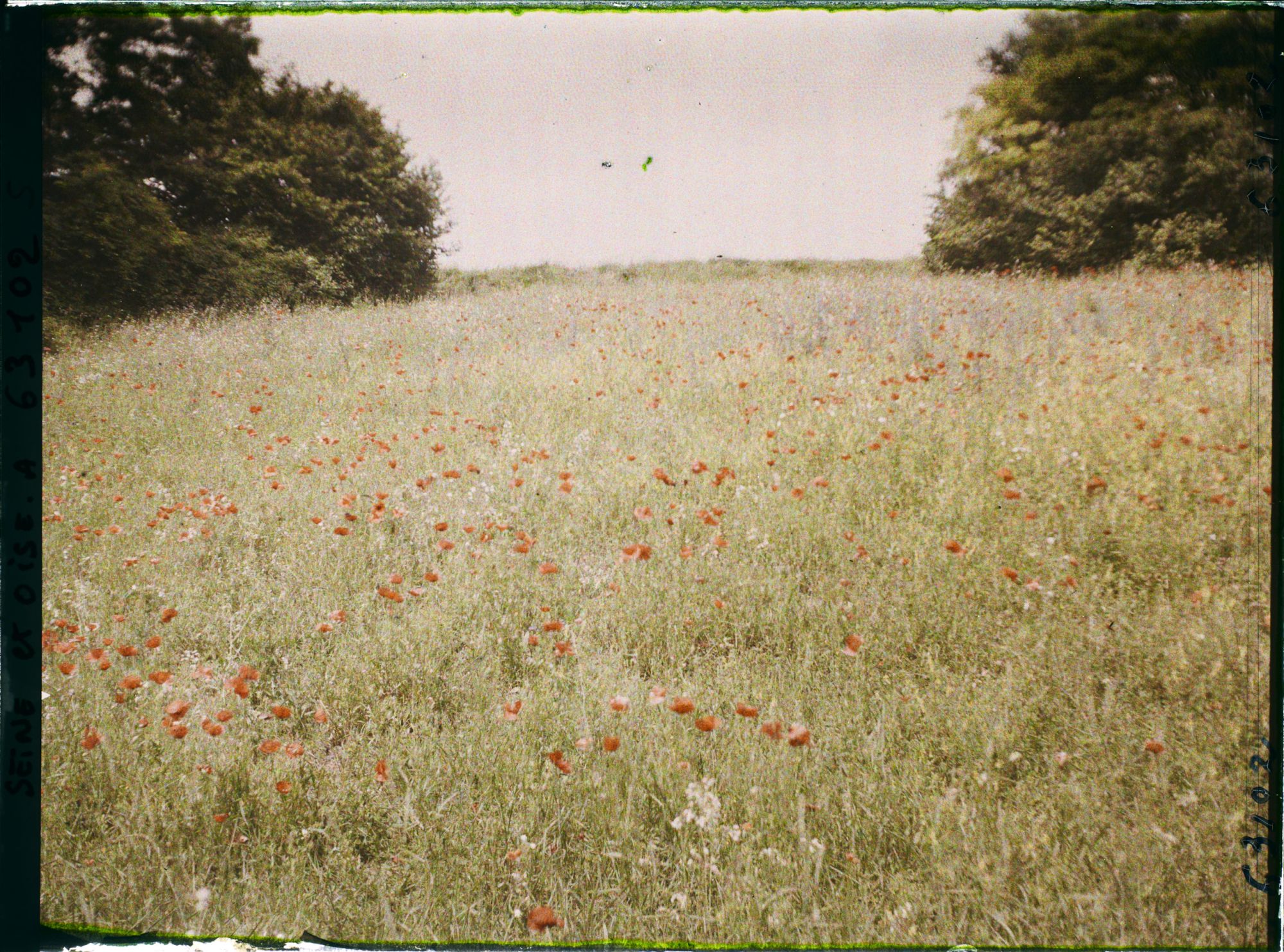 Image représentant Ile de France, Luzarches, Mauvaise Culture