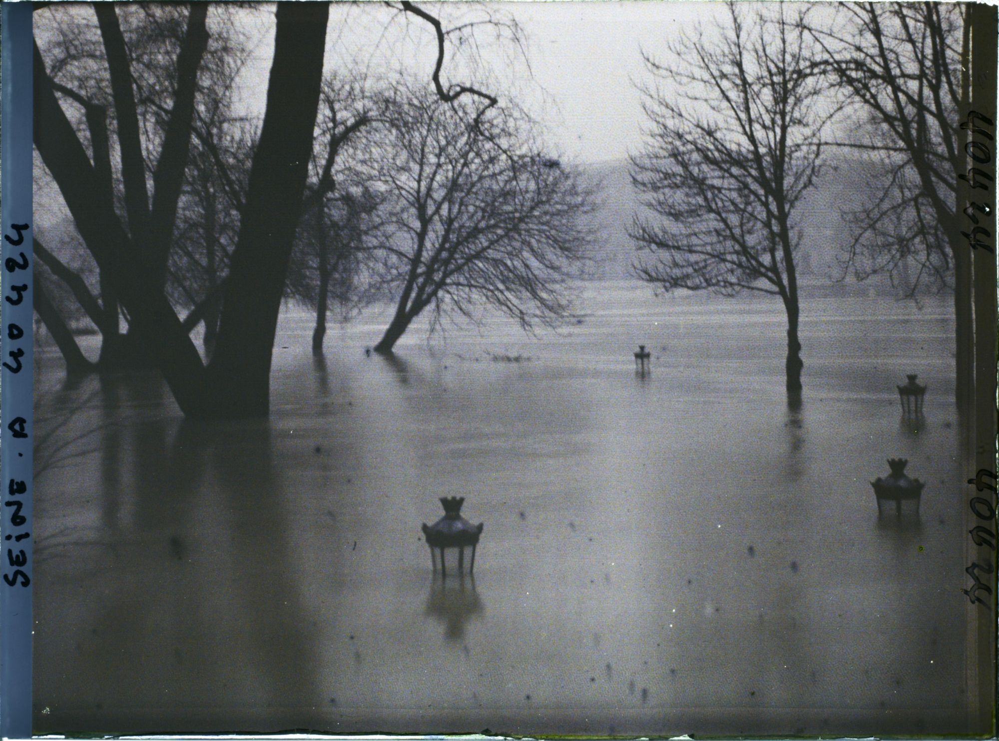 Image représentant La crue de la Seine à la pointe de l'île de la Cité, square du Vert-Galant