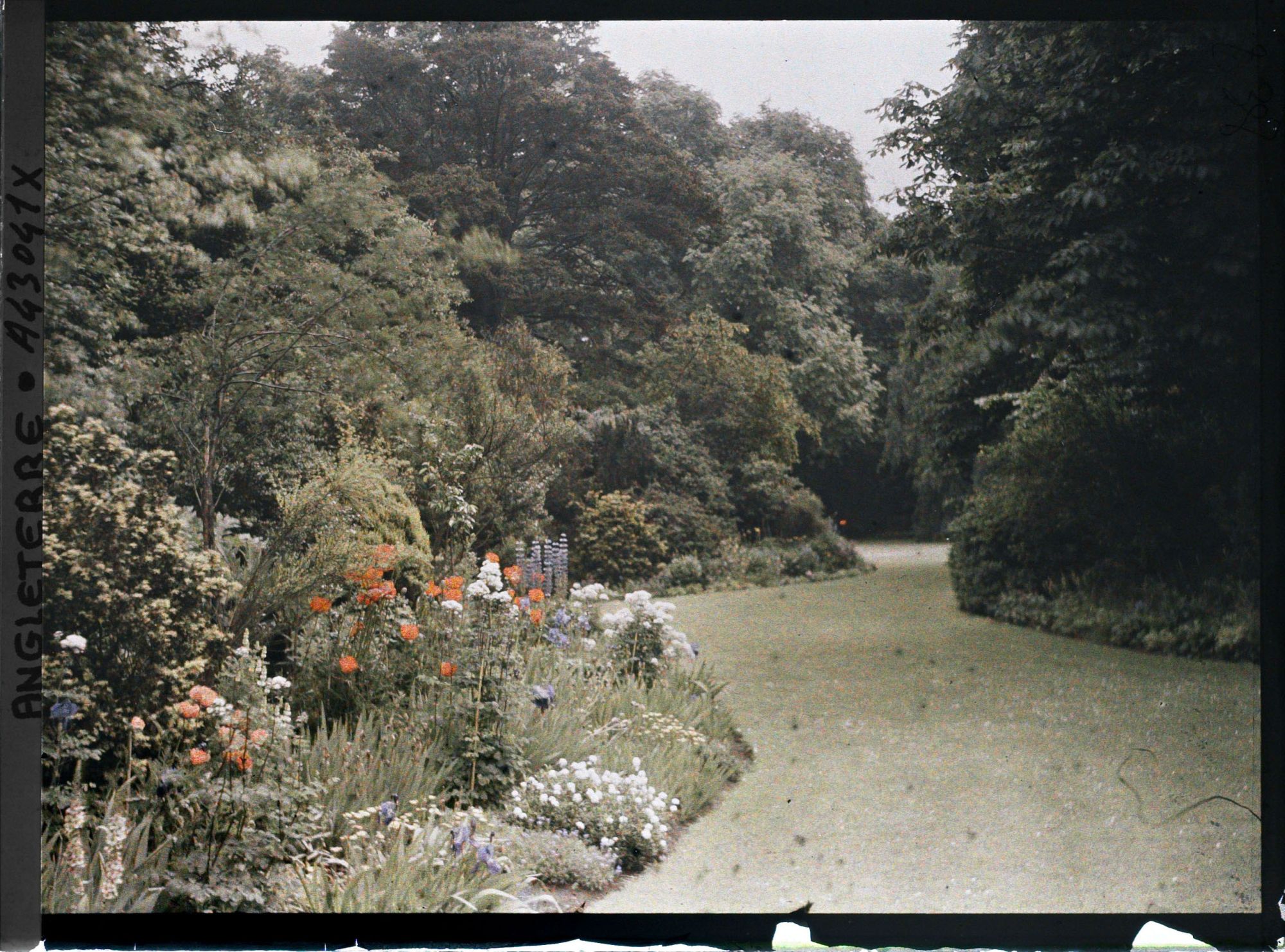 Image représentant Vue du jardin du Saint John's College