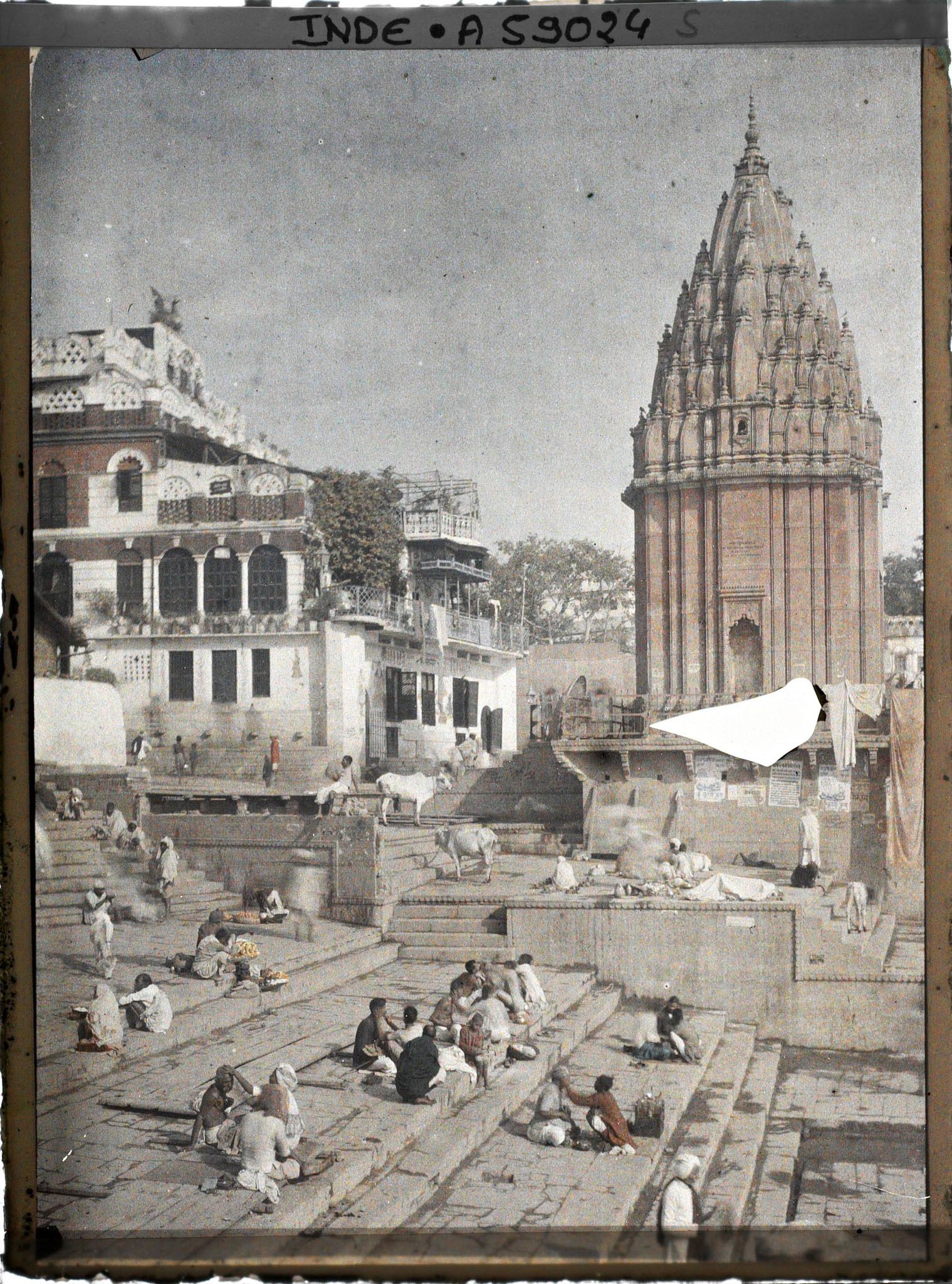 Image représentant Pèlerins et vaches sacrées sur les ghats