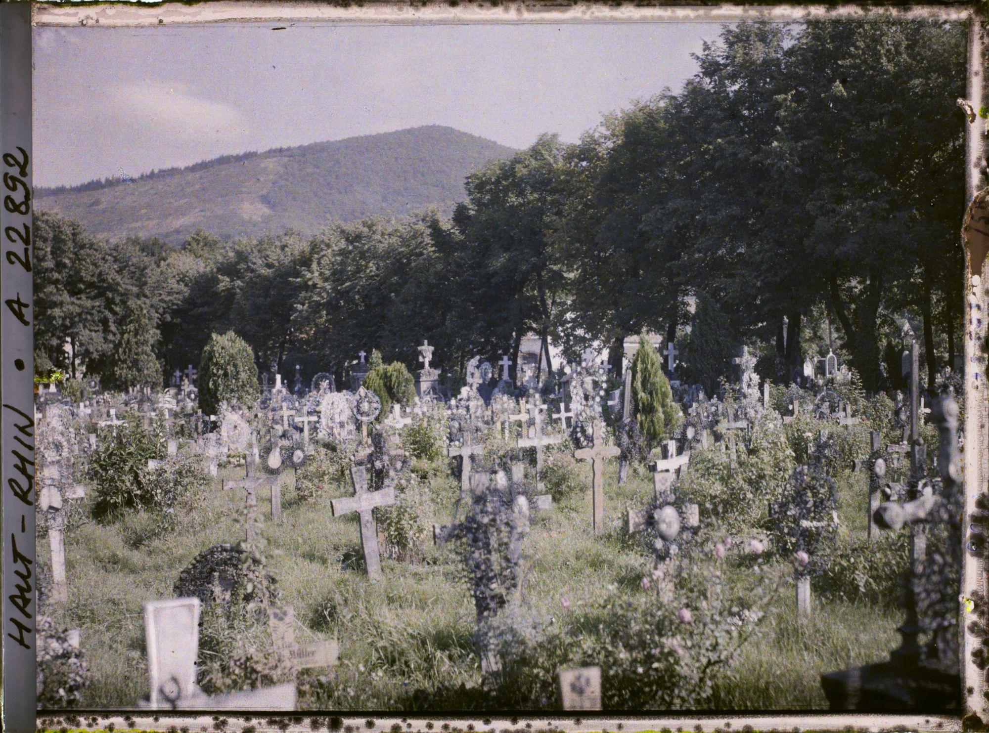 Image représentant France, Thann, Le Cimetière