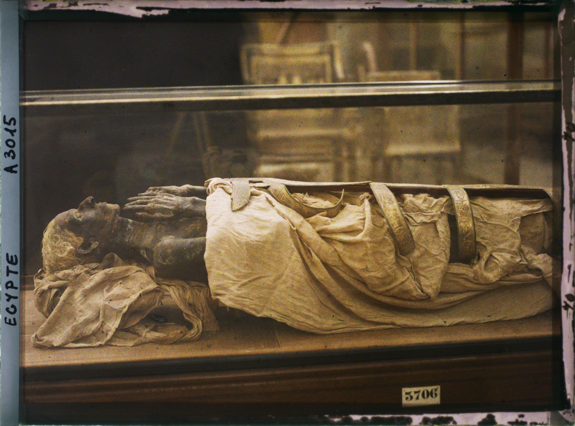 Image représentant Momie dans une vitrine du musée égyptien du Caire