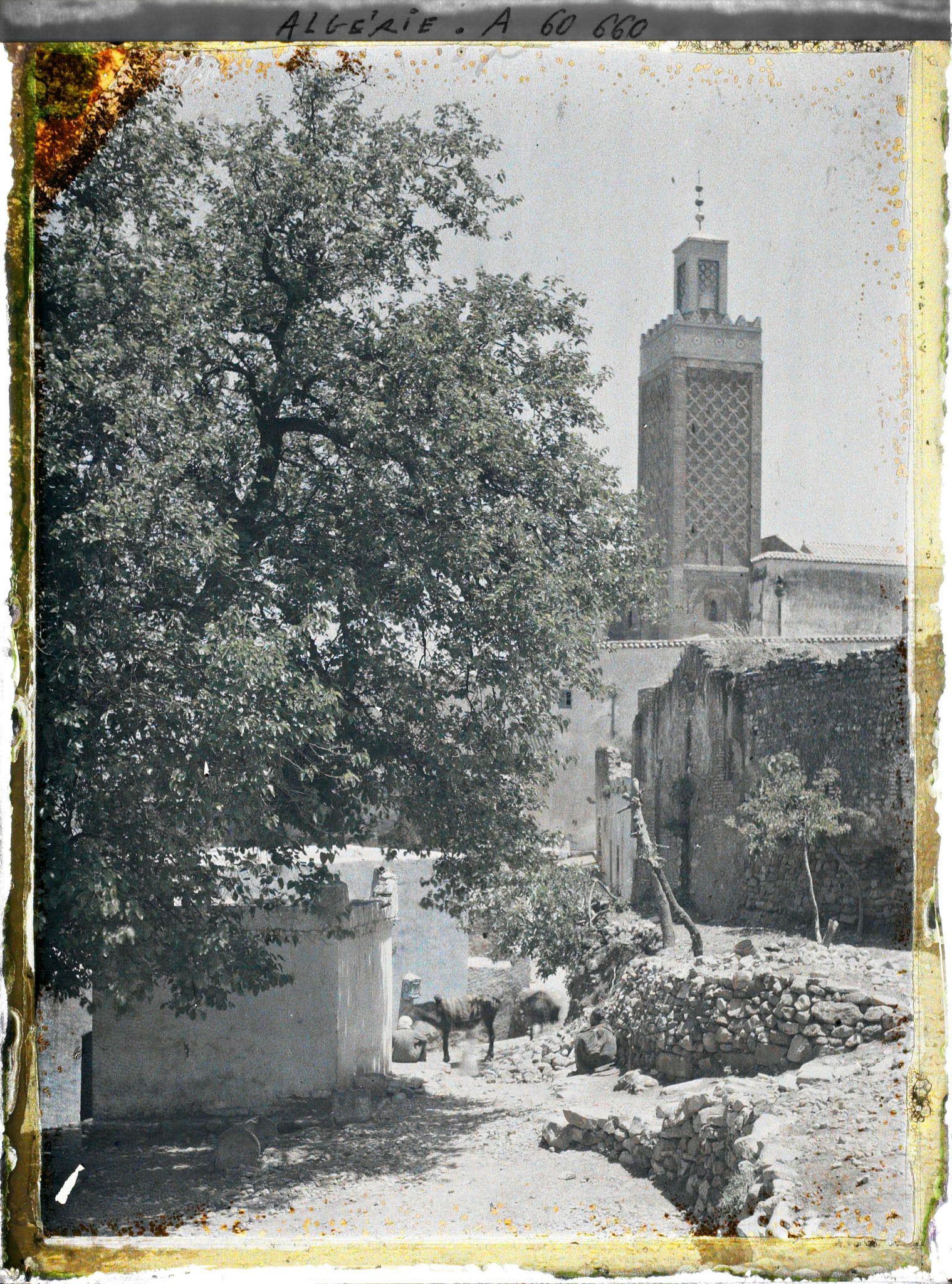 Image représentant Vue du village avec le minaret à l'arrière-plan