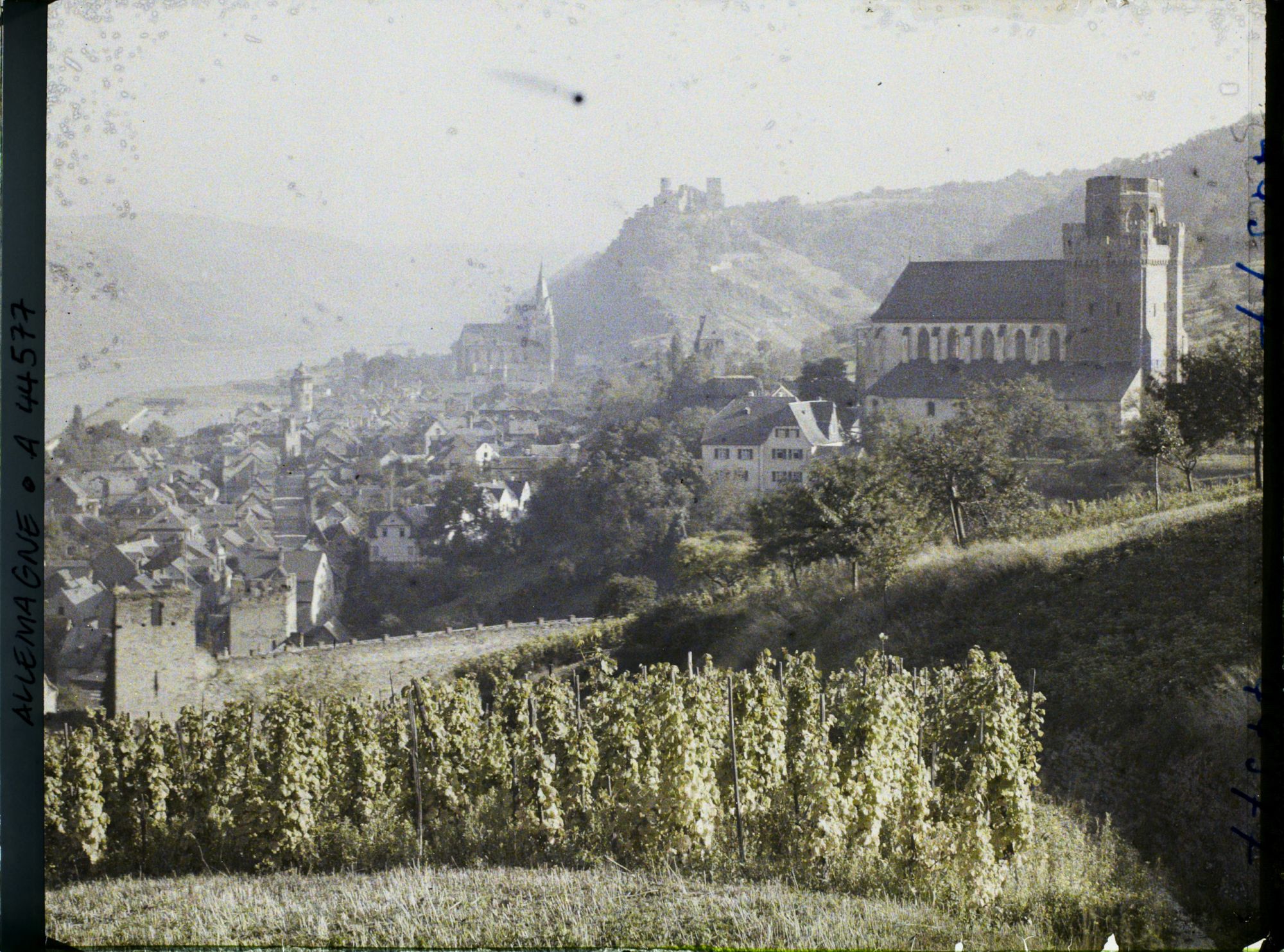 Image représentant Allemagne, Oberwesel, Panorama vers St Martin et le Rhin