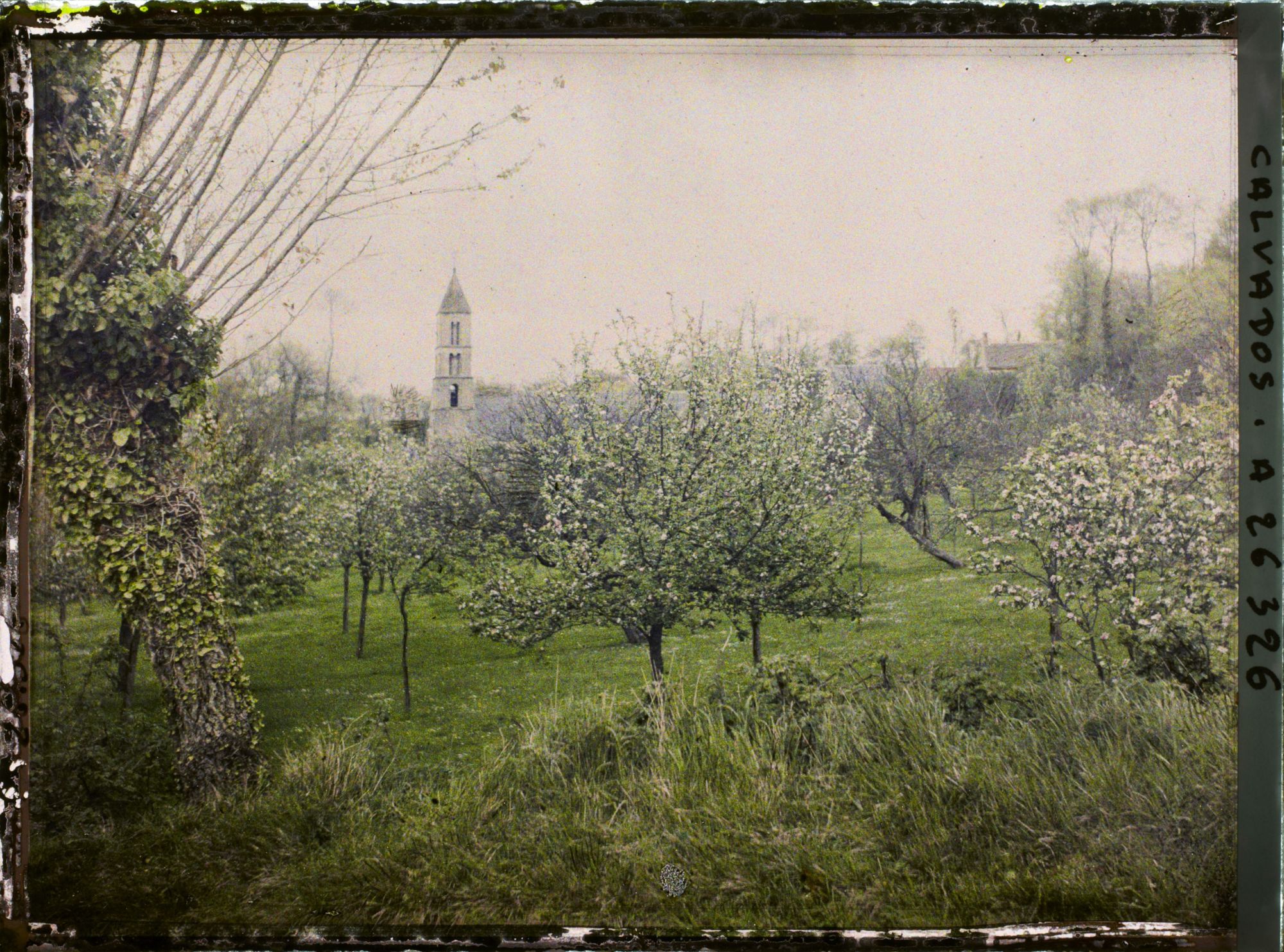 Image représentant Alentours de Commes et vue de l'église Notre-Dame