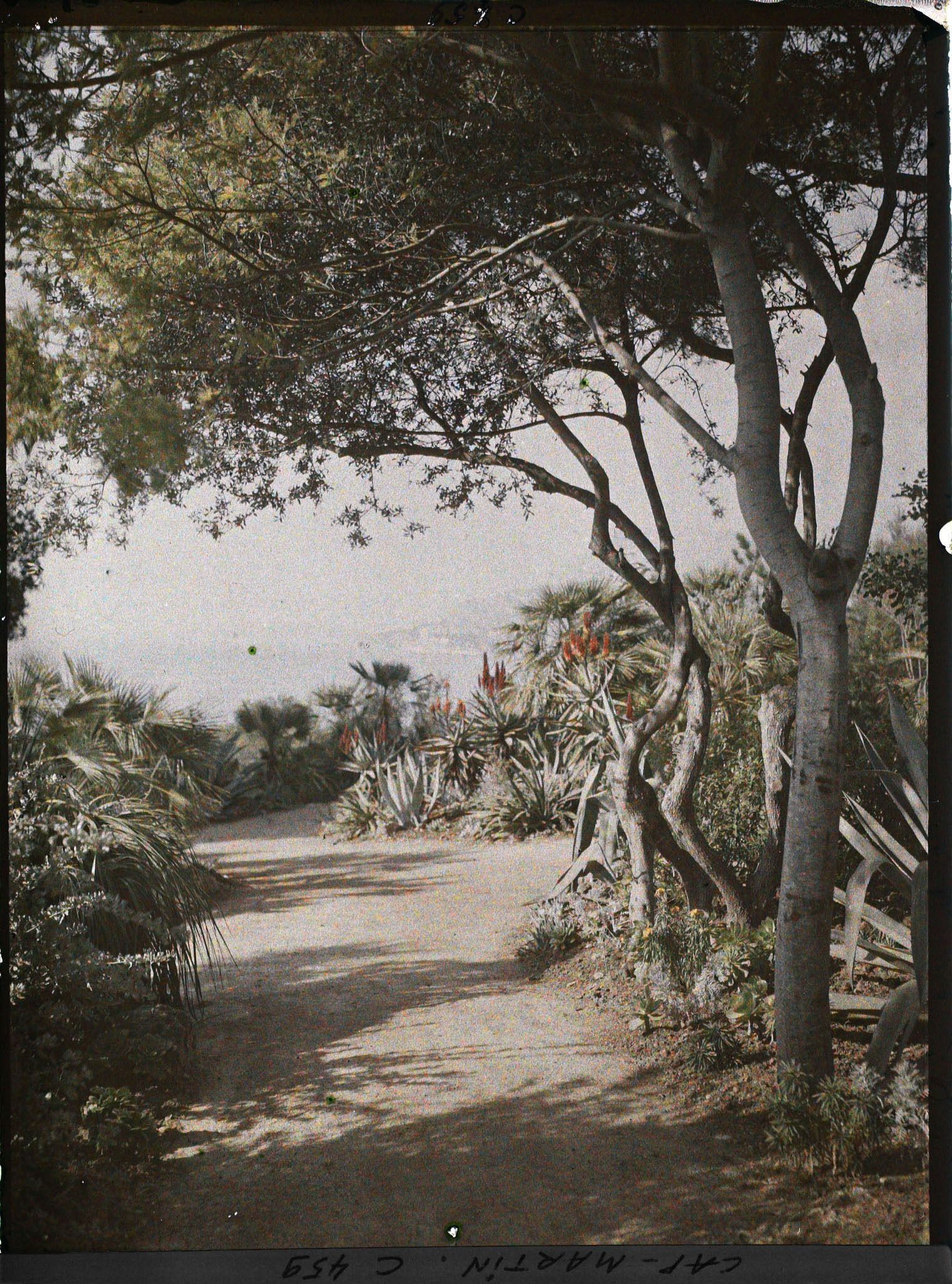 Image représentant Cap Martin Le Jardin