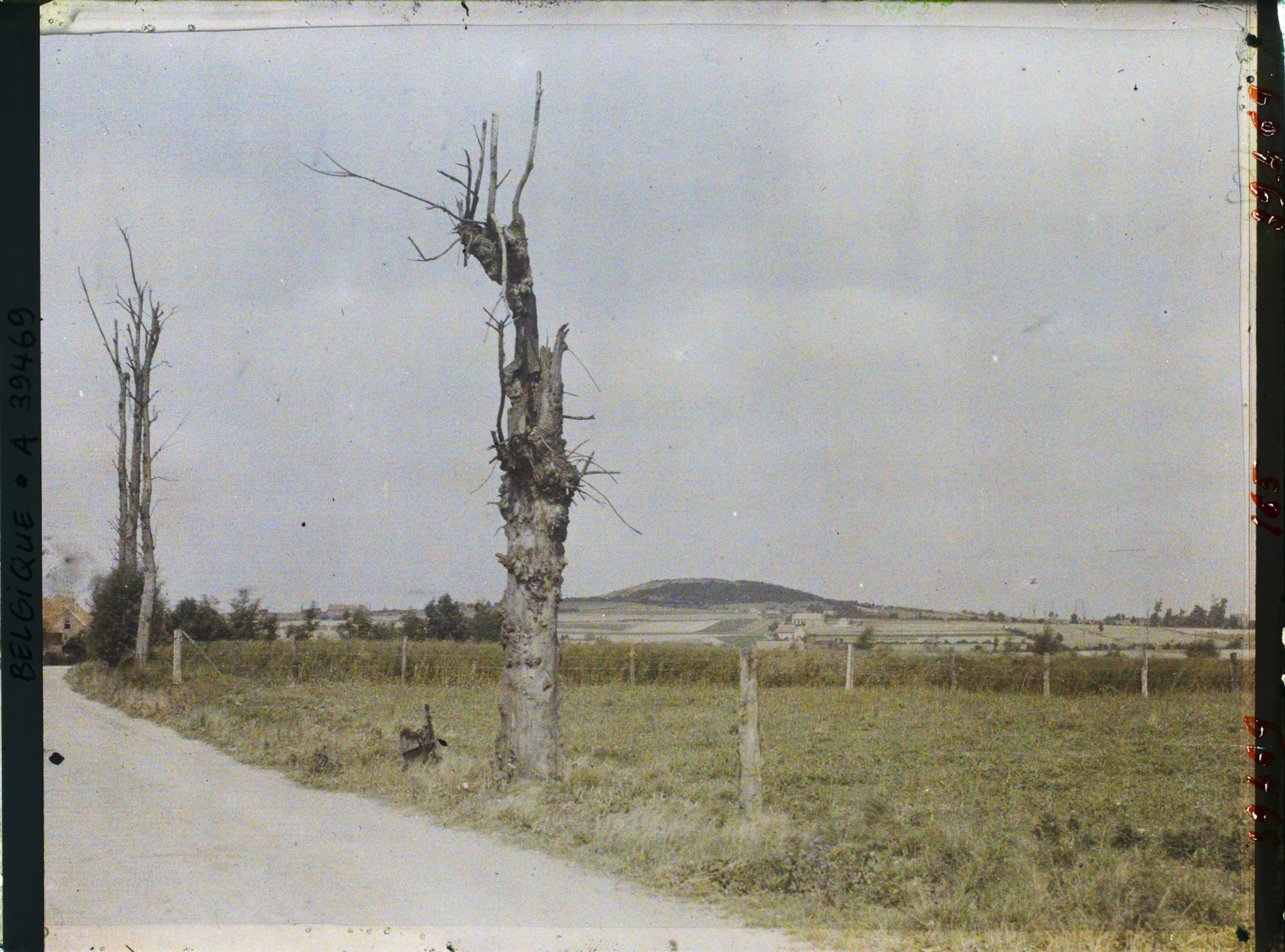 Image représentant Belgique, Kemmel, Le Scherpenberg