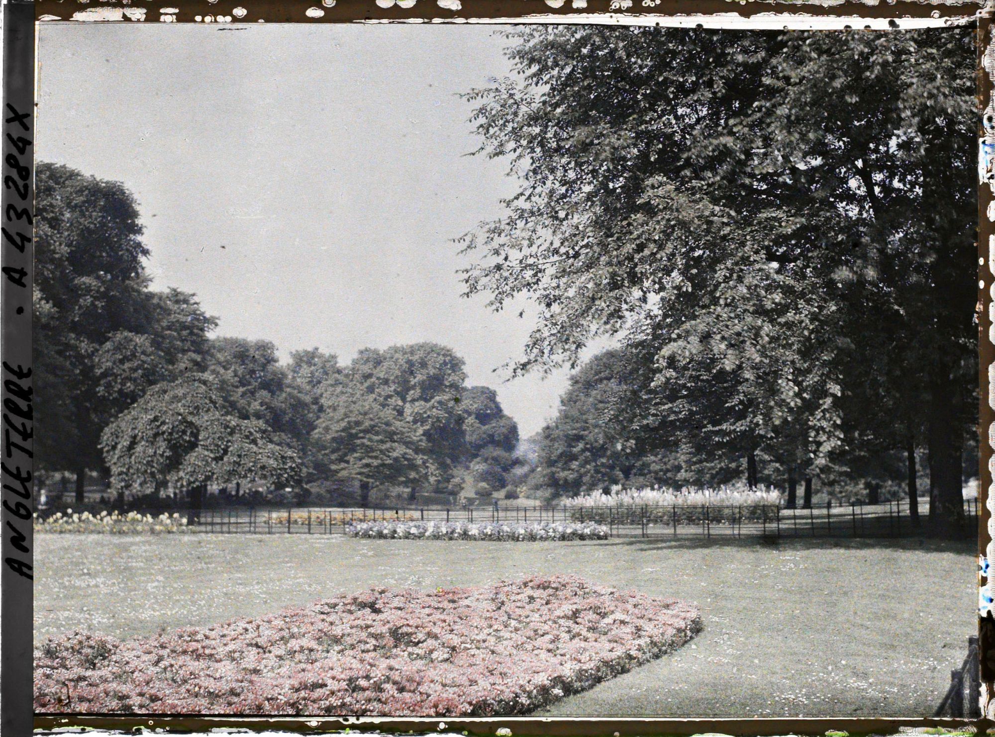 Image représentant Vues diverses d'Hyde Parc les jardins