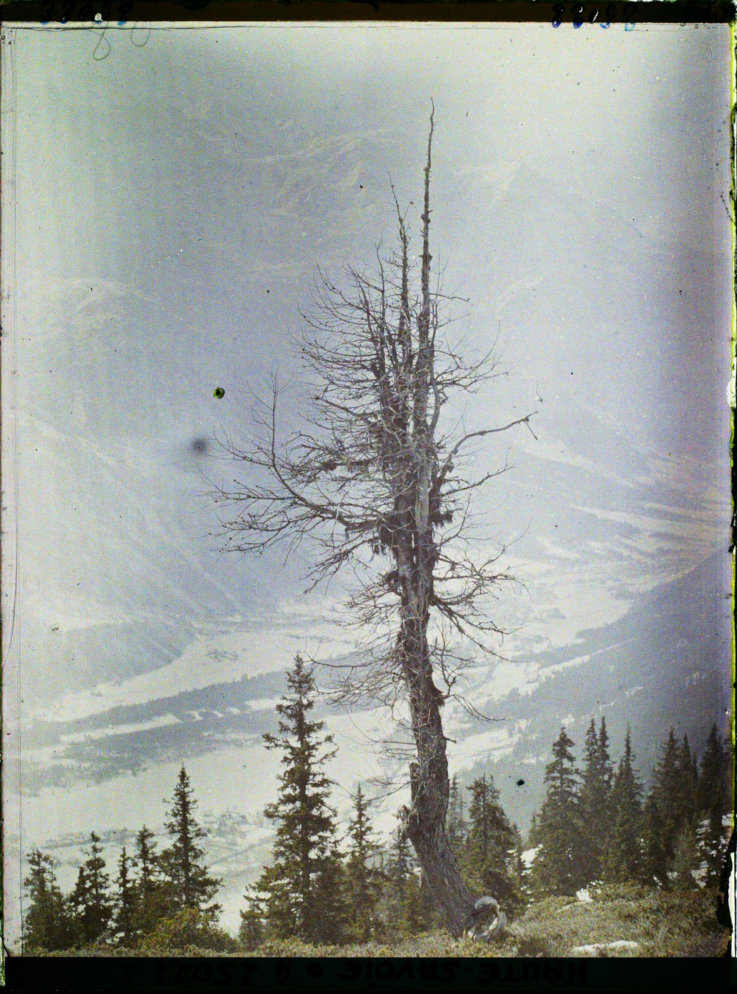 Image représentant France Les Alpes, Vue prise de la Flégère. Effet de brume s/laVallée de Chamonix et le Mont-Blanc