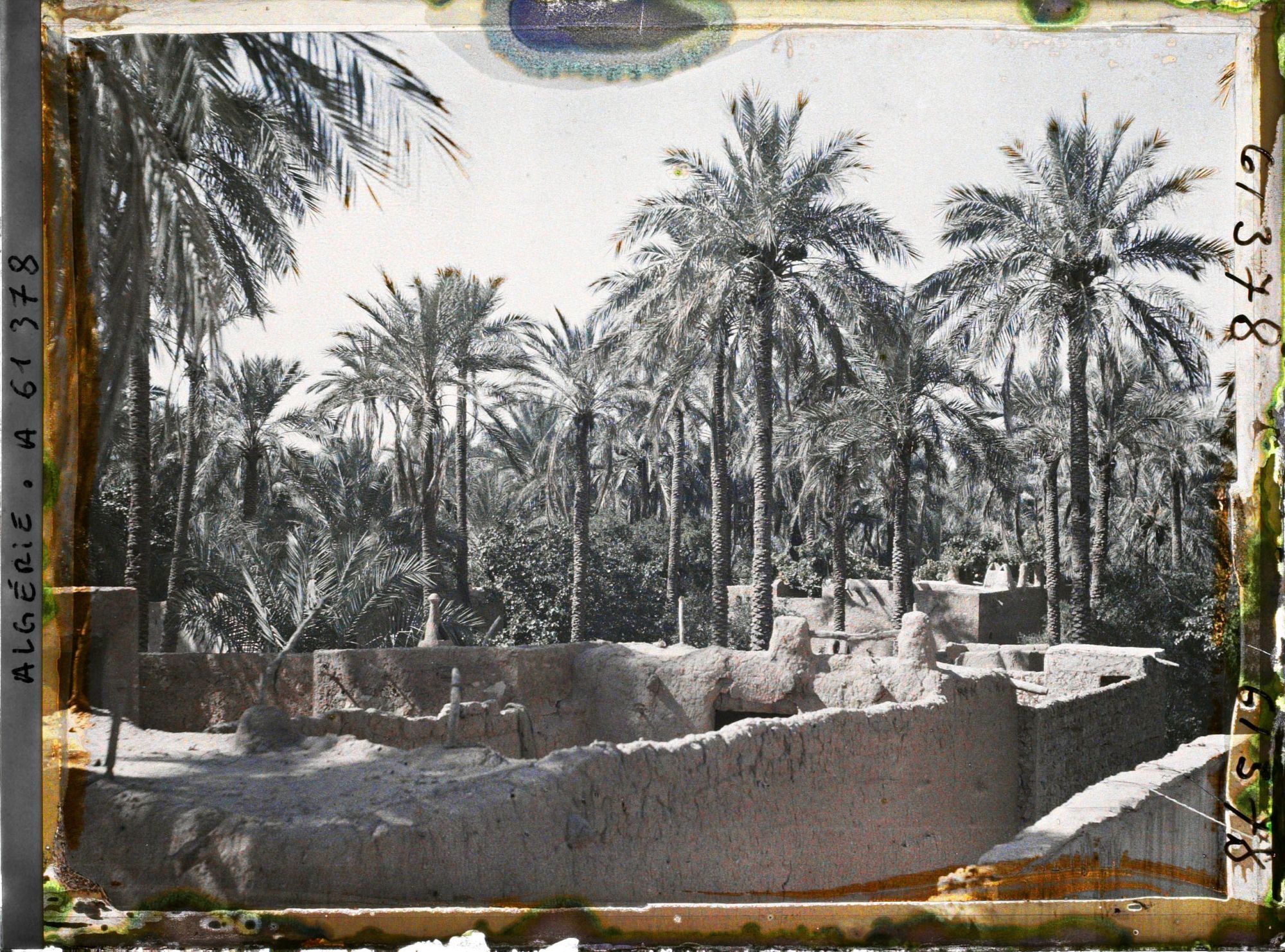 Image représentant Vue de l'oasis