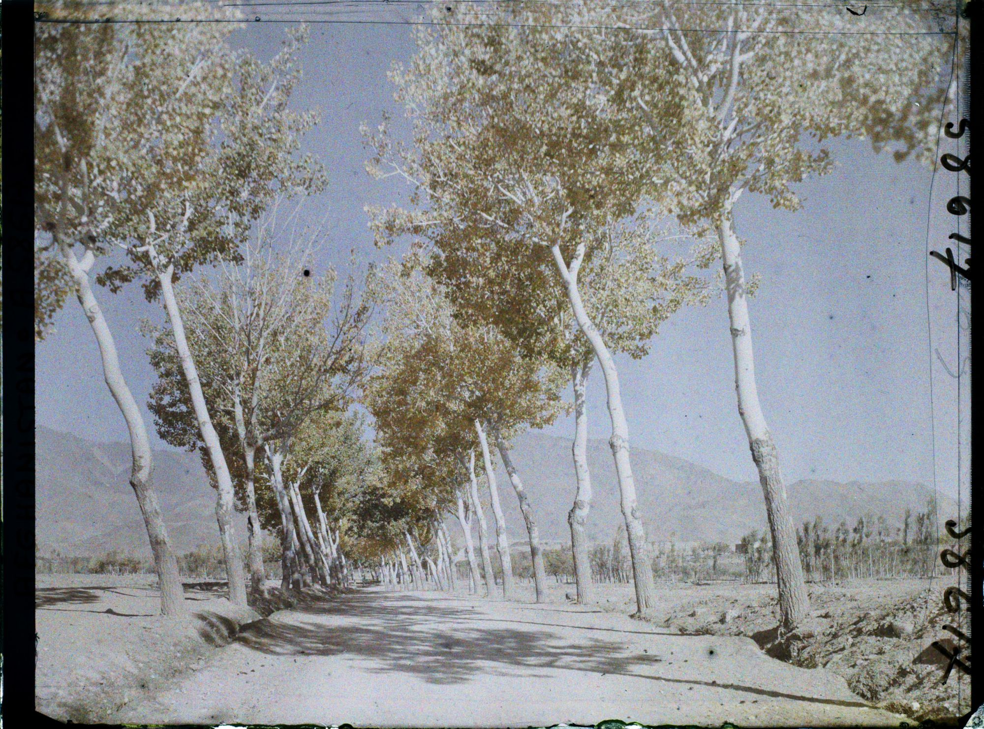 Image représentant Afghanistan, Kaboul, La route de Paghman Kaboul, autre aspect