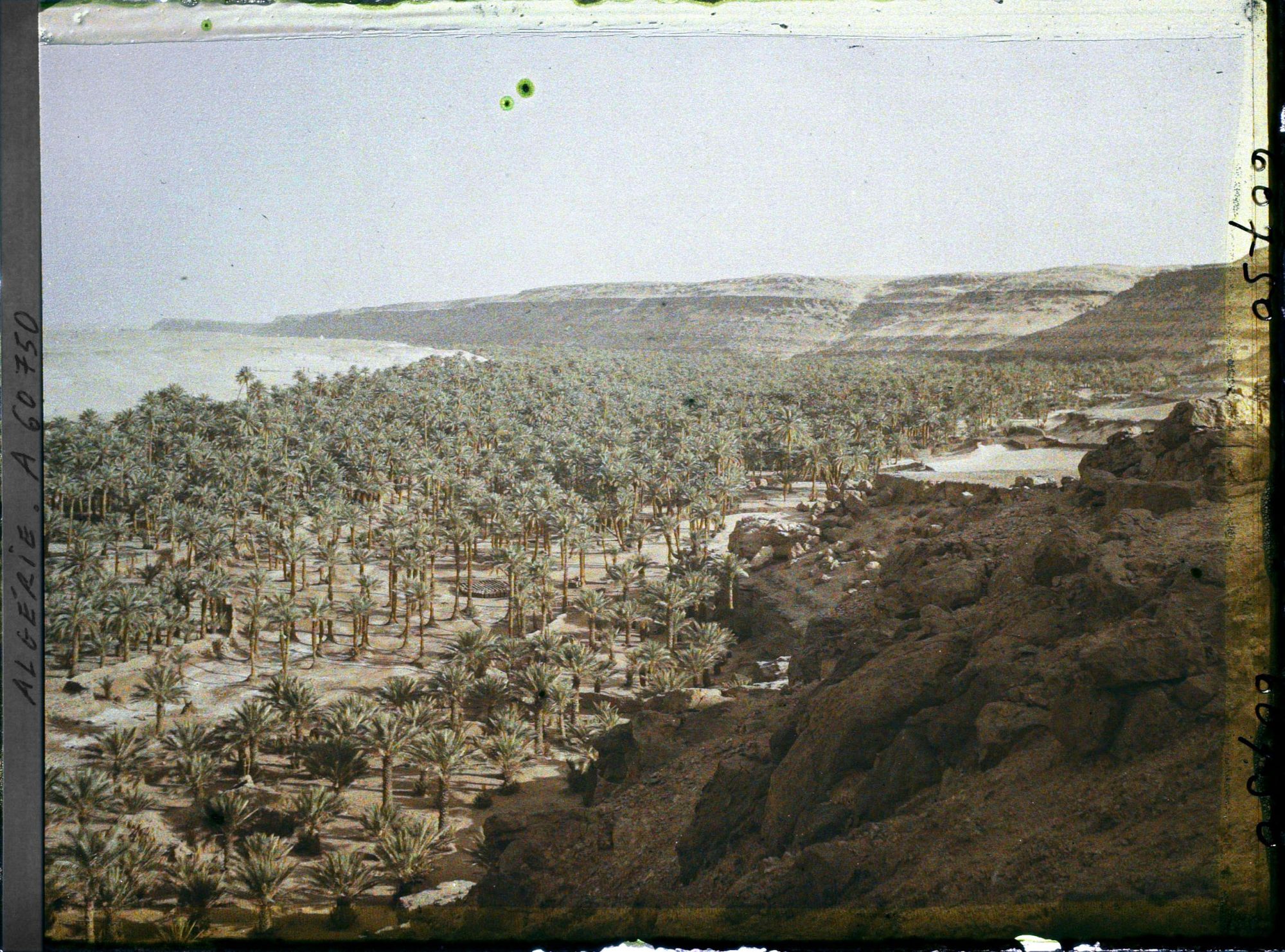 Image représentant Vue de l'oasis vers l'ouest