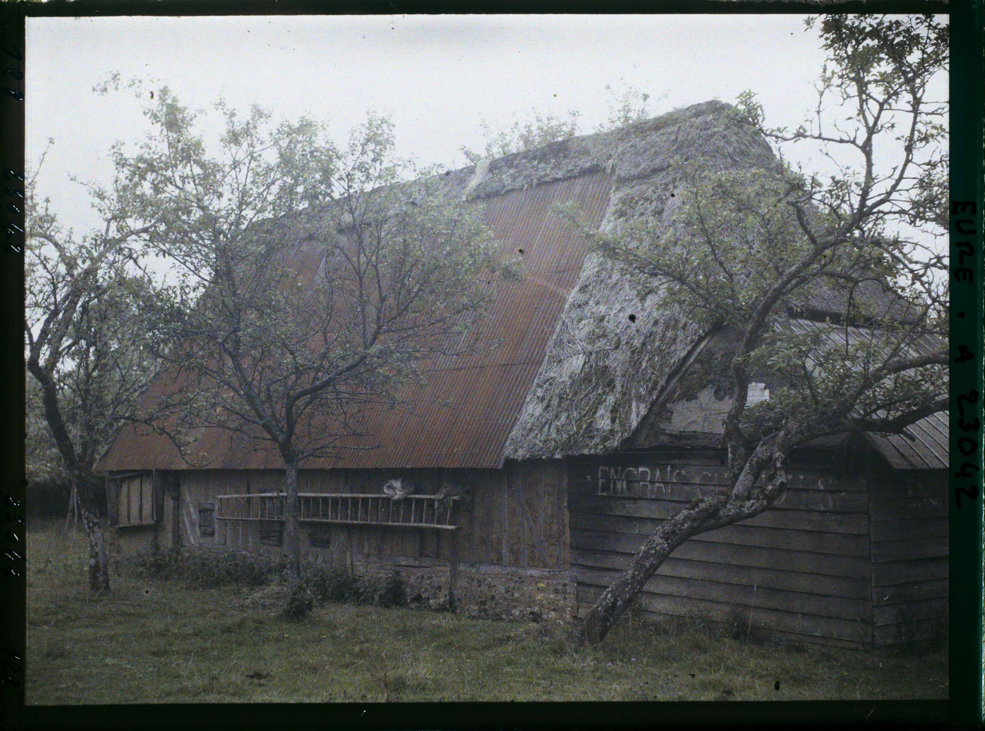 Image représentant Toiture de chaume et de toile ondulée