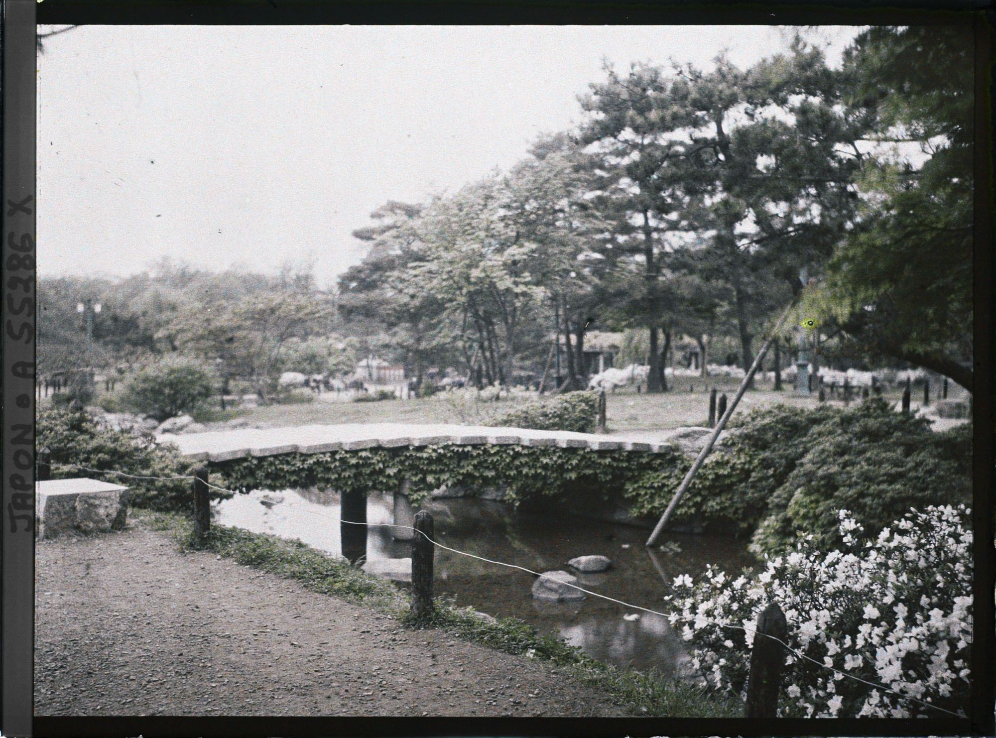 Image représentant Le parc Maruyama (Maruyama kôen)
