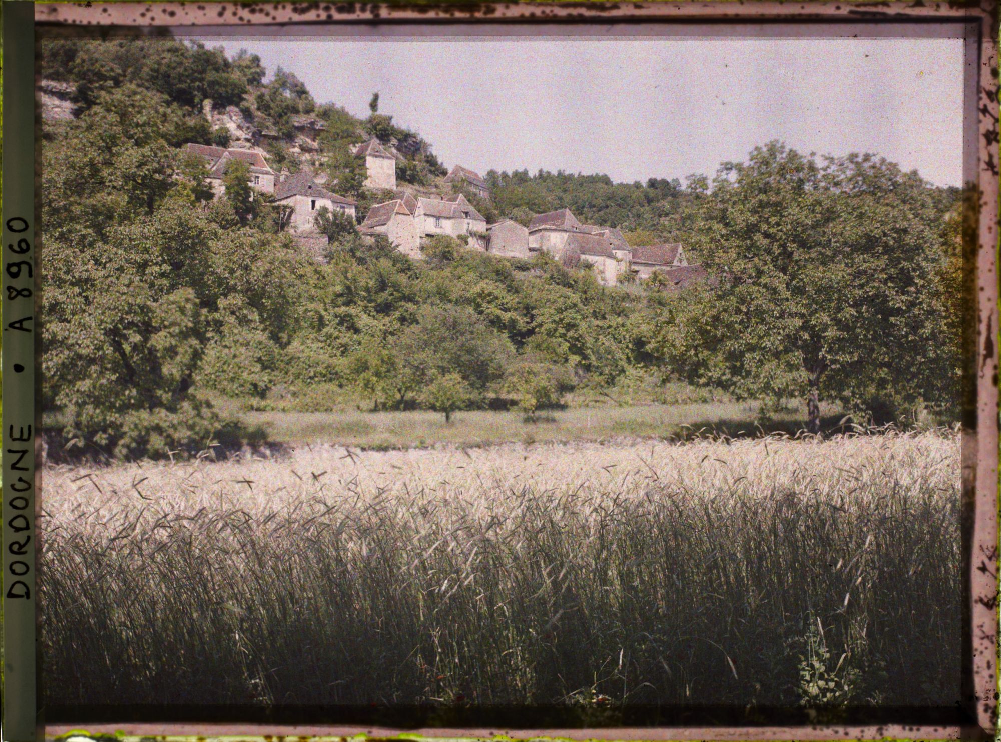 Image représentant France, Domme, La Roque Gageac groupe de maisons en amont seigle au 1er plan