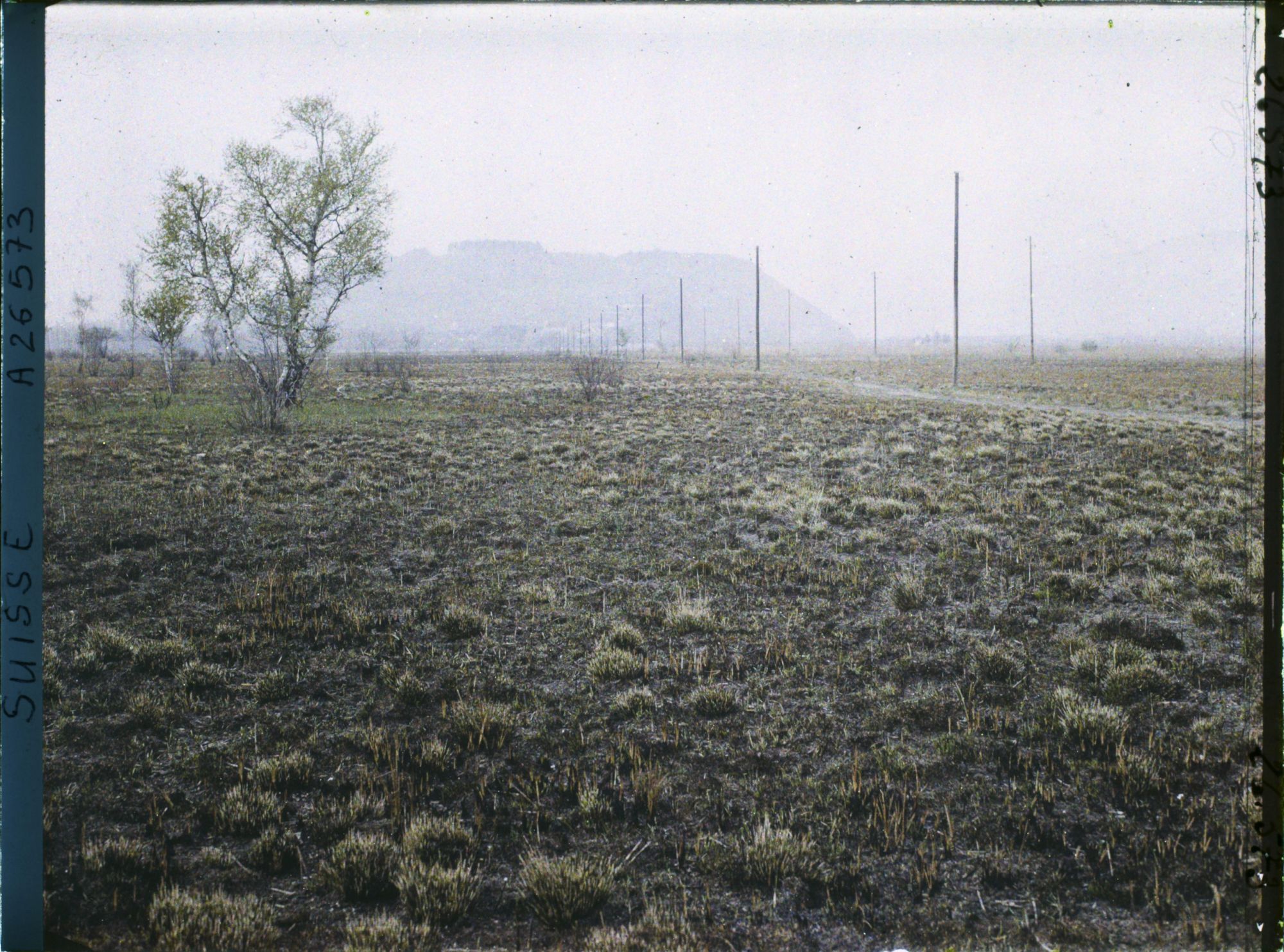 Image représentant La route de l'île Saint-Pierre, à 15 minutes de Cerlier