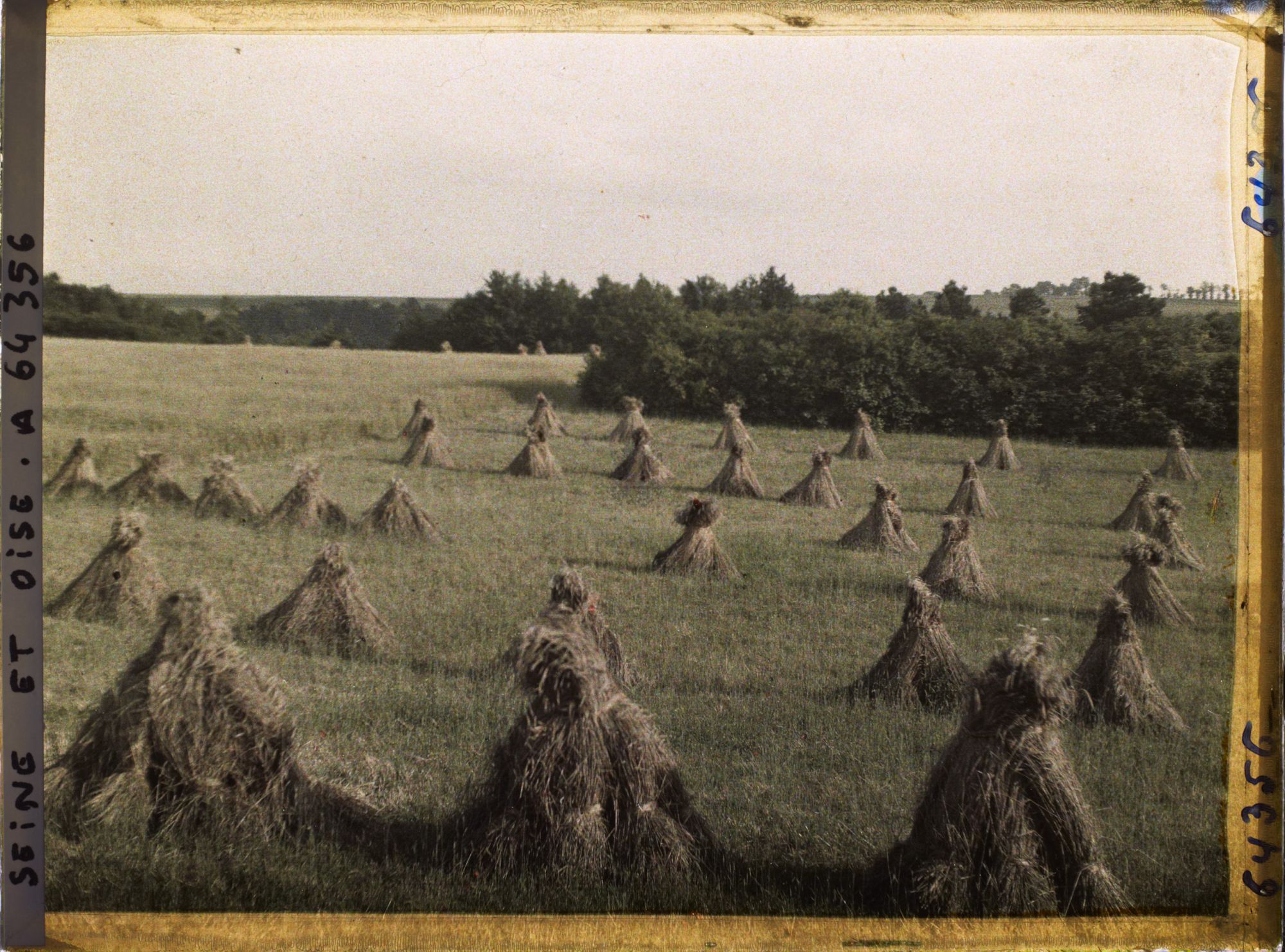 Image représentant Ile de France, Vallangoujard, Seigle moissonne