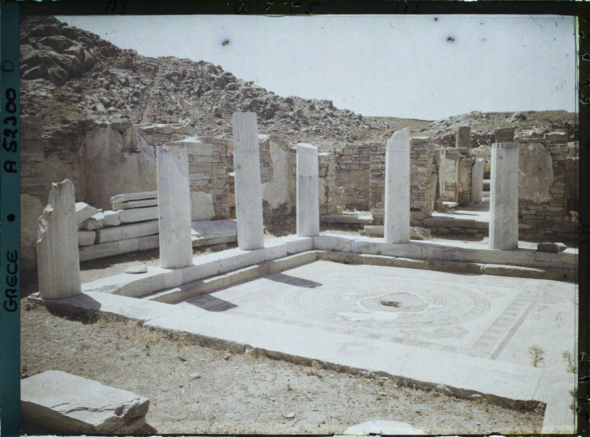 Image représentant La Maison des Dauphins