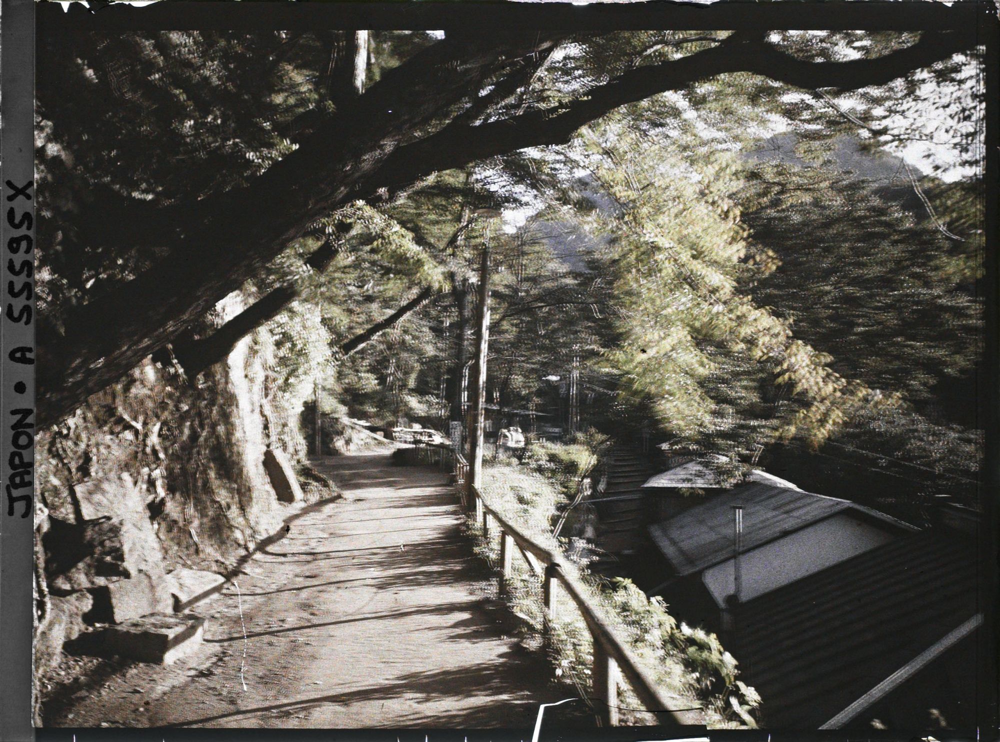 Image représentant Chemin menant vers les temples