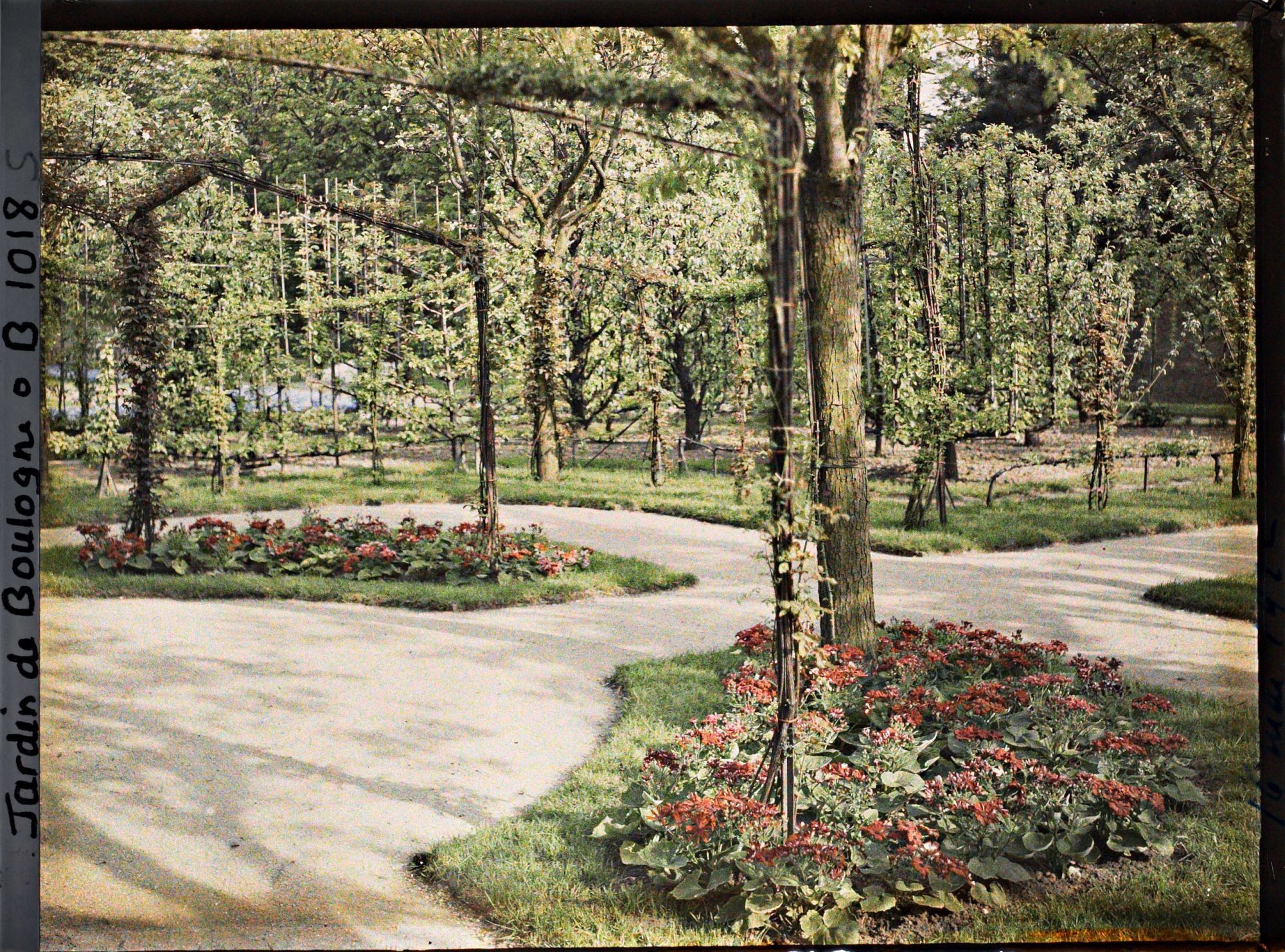Image représentant Coin sud-est du verger-roseraie, vu depuis le rond-point proche du jardin français