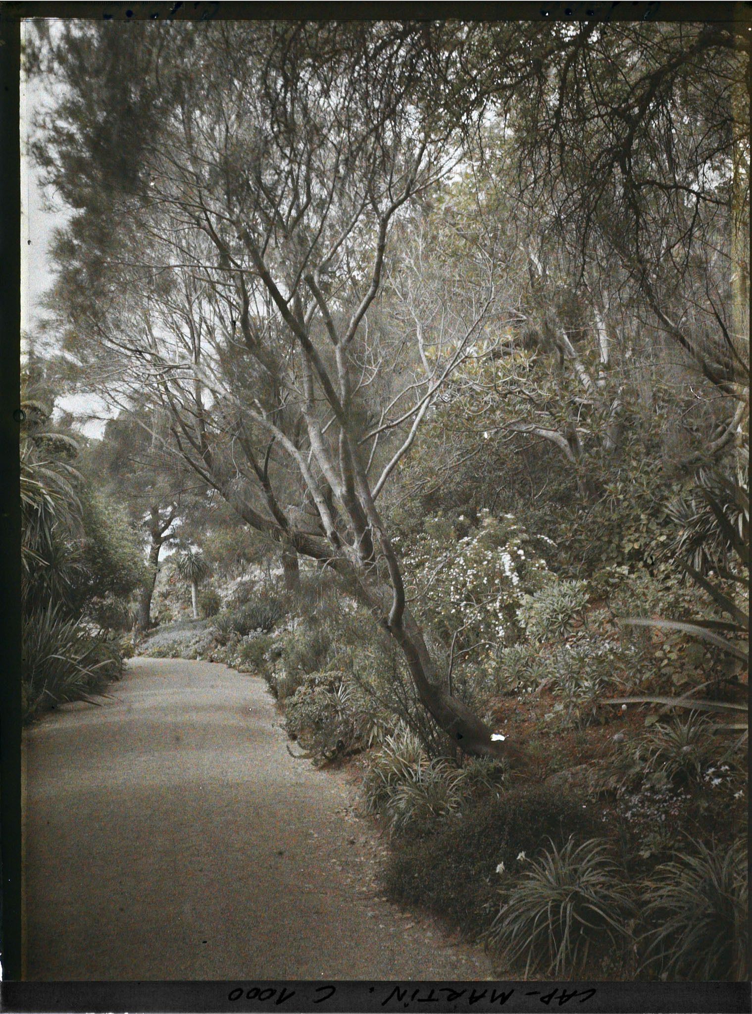 Image représentant Le Jardin