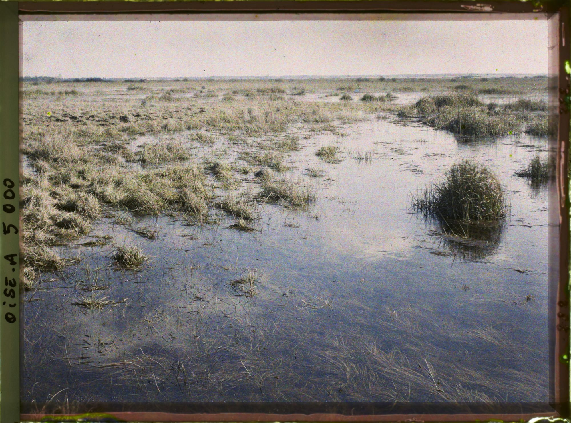 Image représentant Les marais de Saint-Gond
