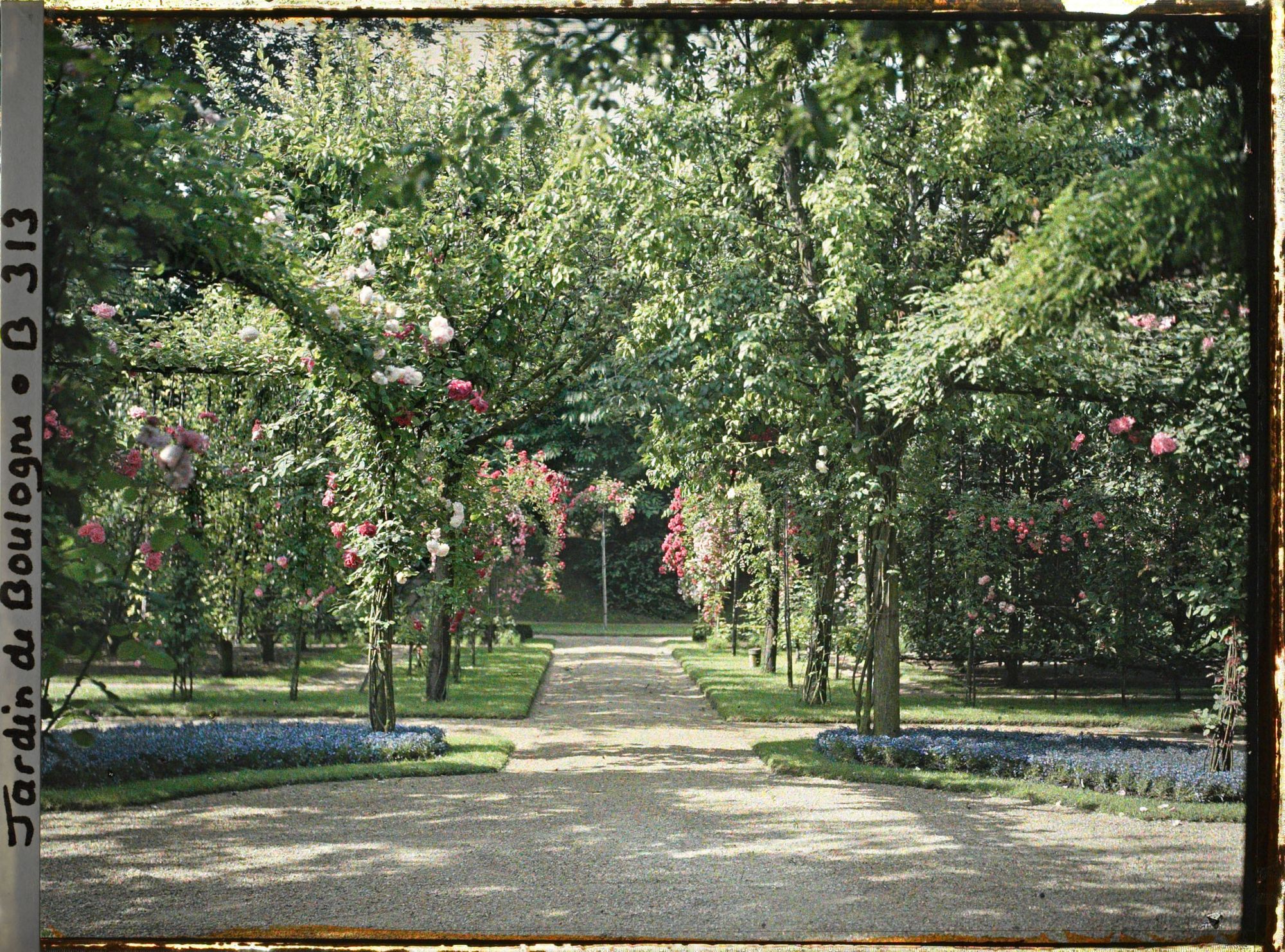 Image représentant Allée du verger-roseraie vue en direction du sud, depuis le rond-point proche du jardin français
