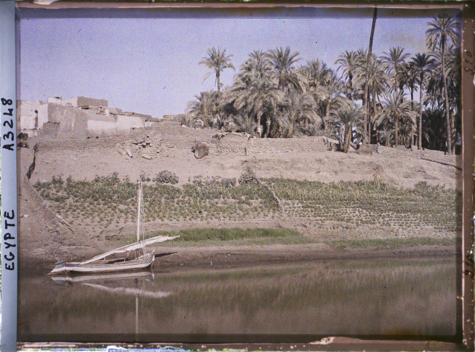 Image représentant L'île d'Eléphantine