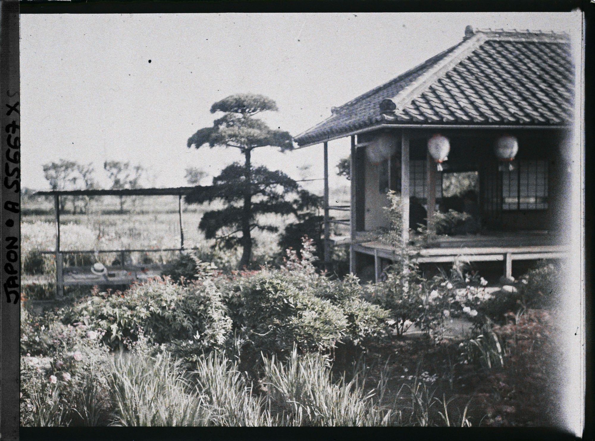 Image représentant Parc Horikiri-shobuen