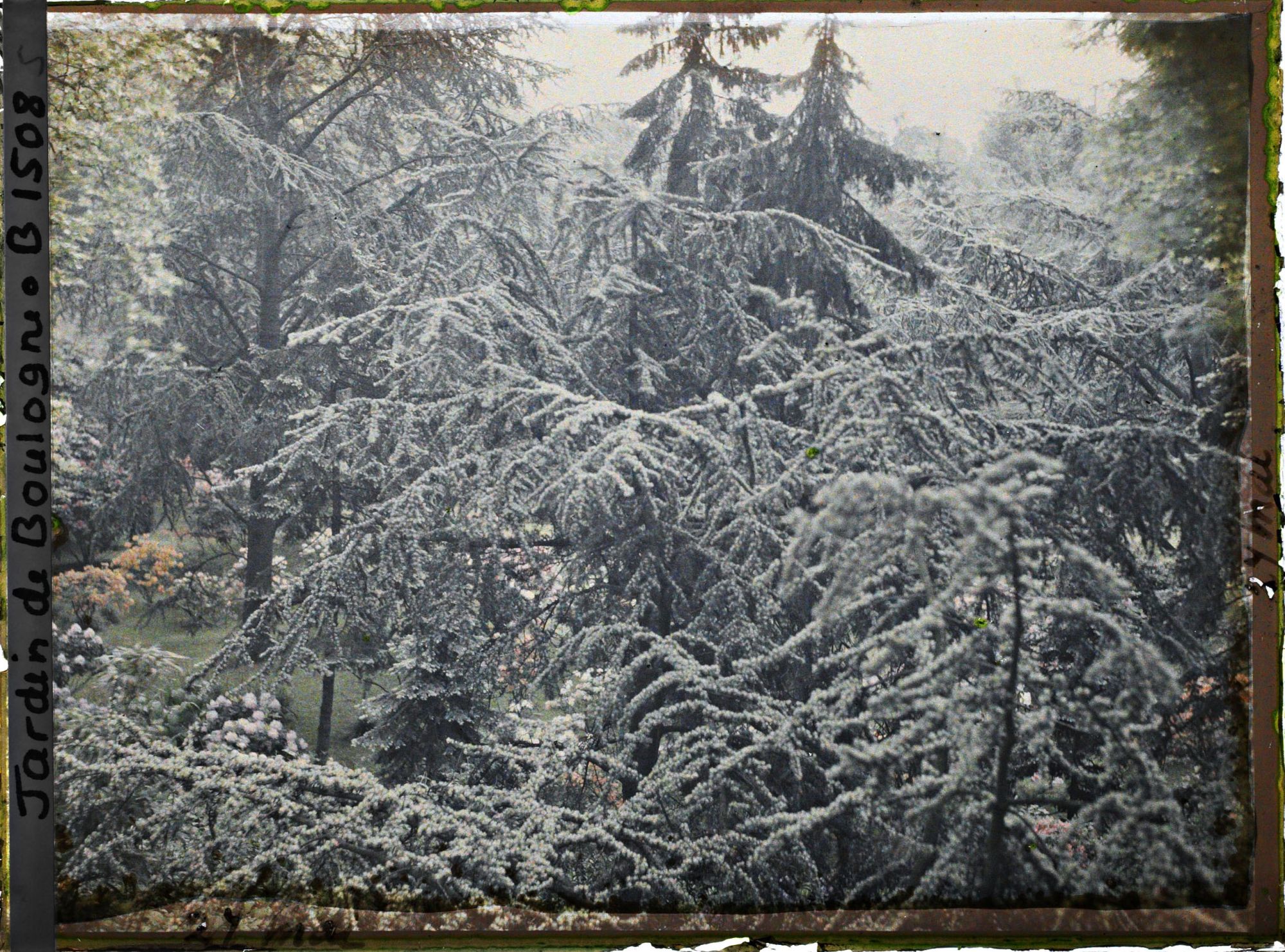 Image représentant Forêt bleue vue de l'atelier photo